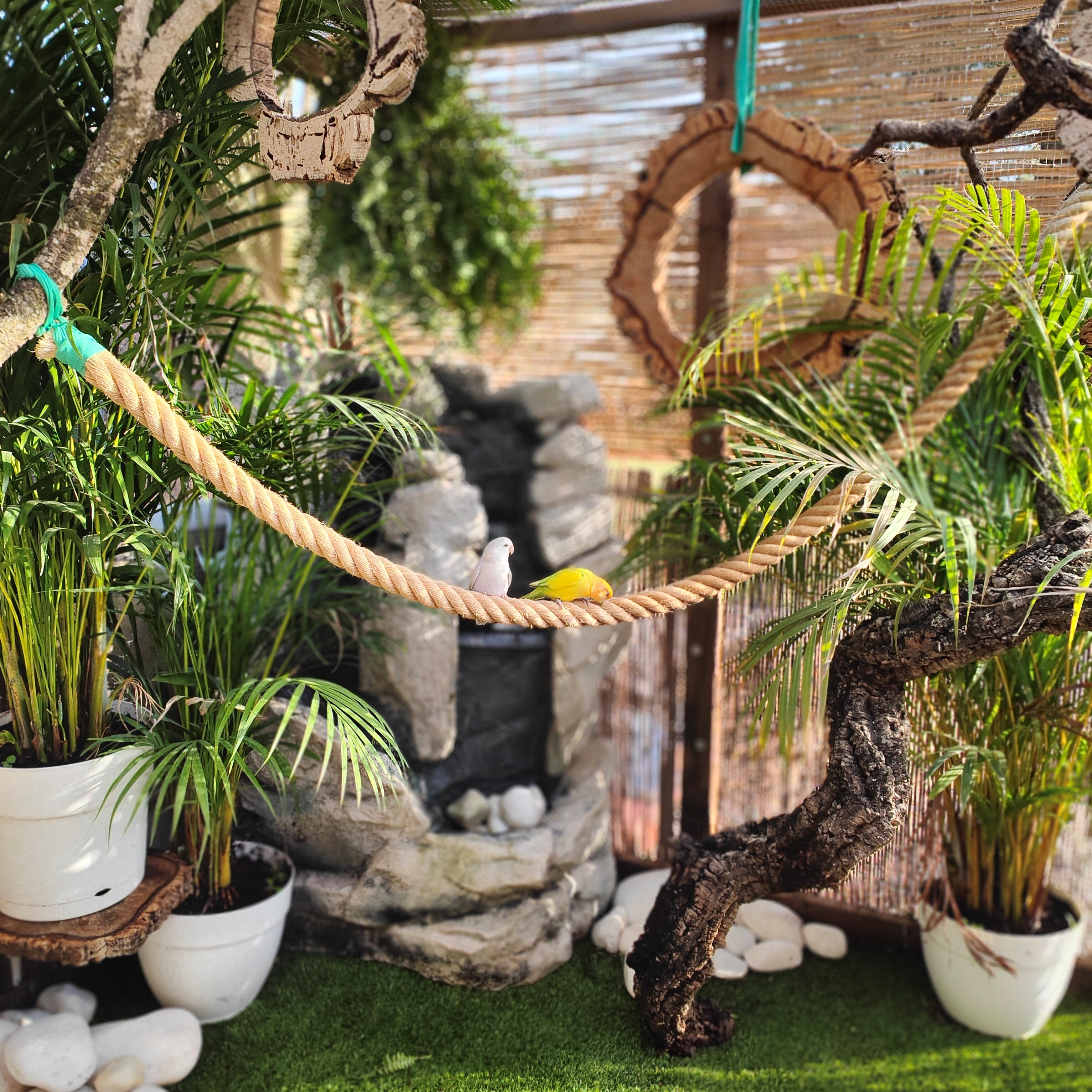 LA IMPORTANCIA DE NATURALIZAR SU ESPACIO