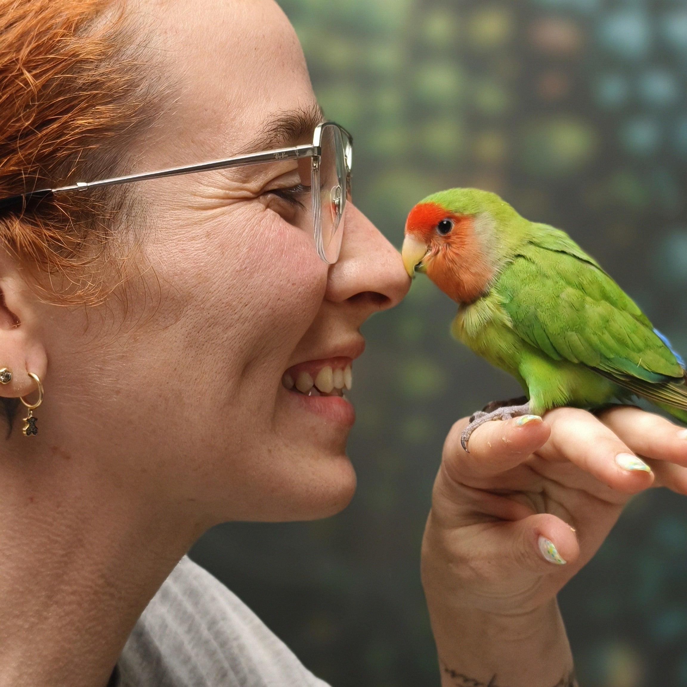 LISTADO VETERINARIOS DE EXÓTICOS ESPECIALISTAS EN LOROS