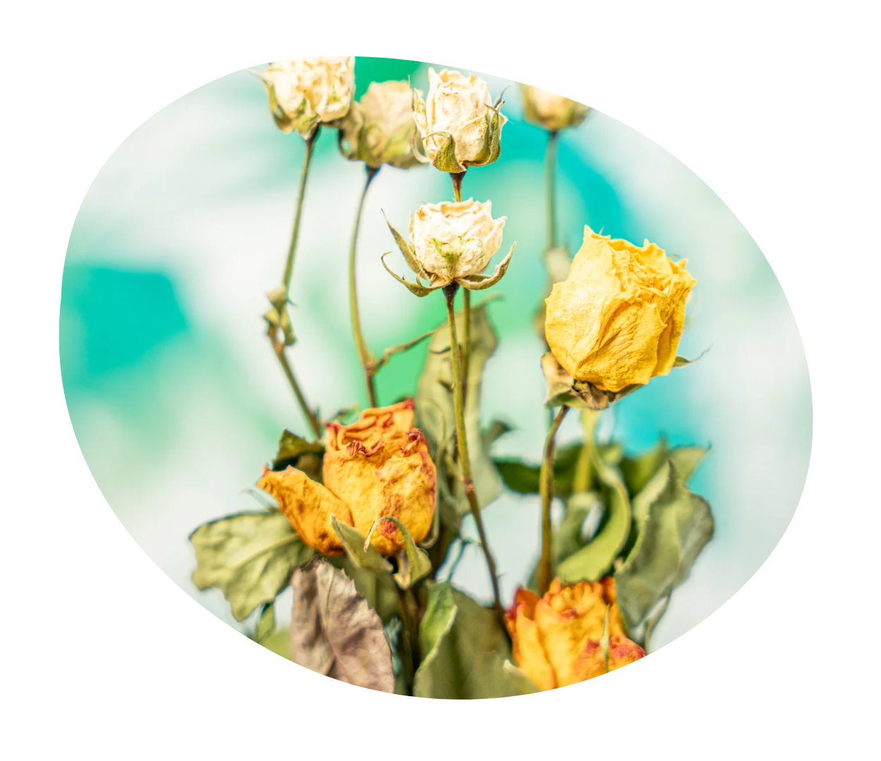 Extras, snacks y premios