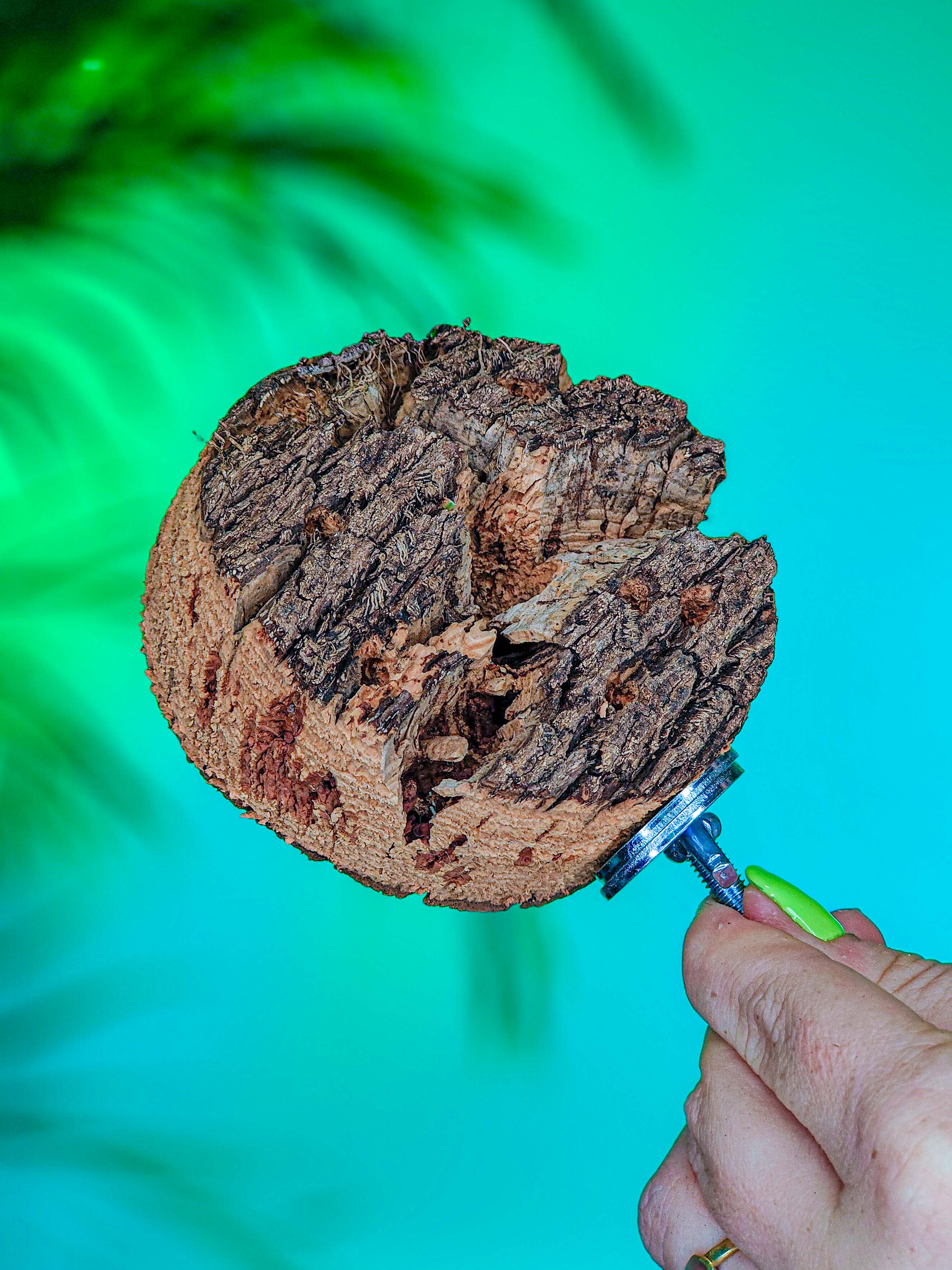 PORTA RAMILLETES corcho