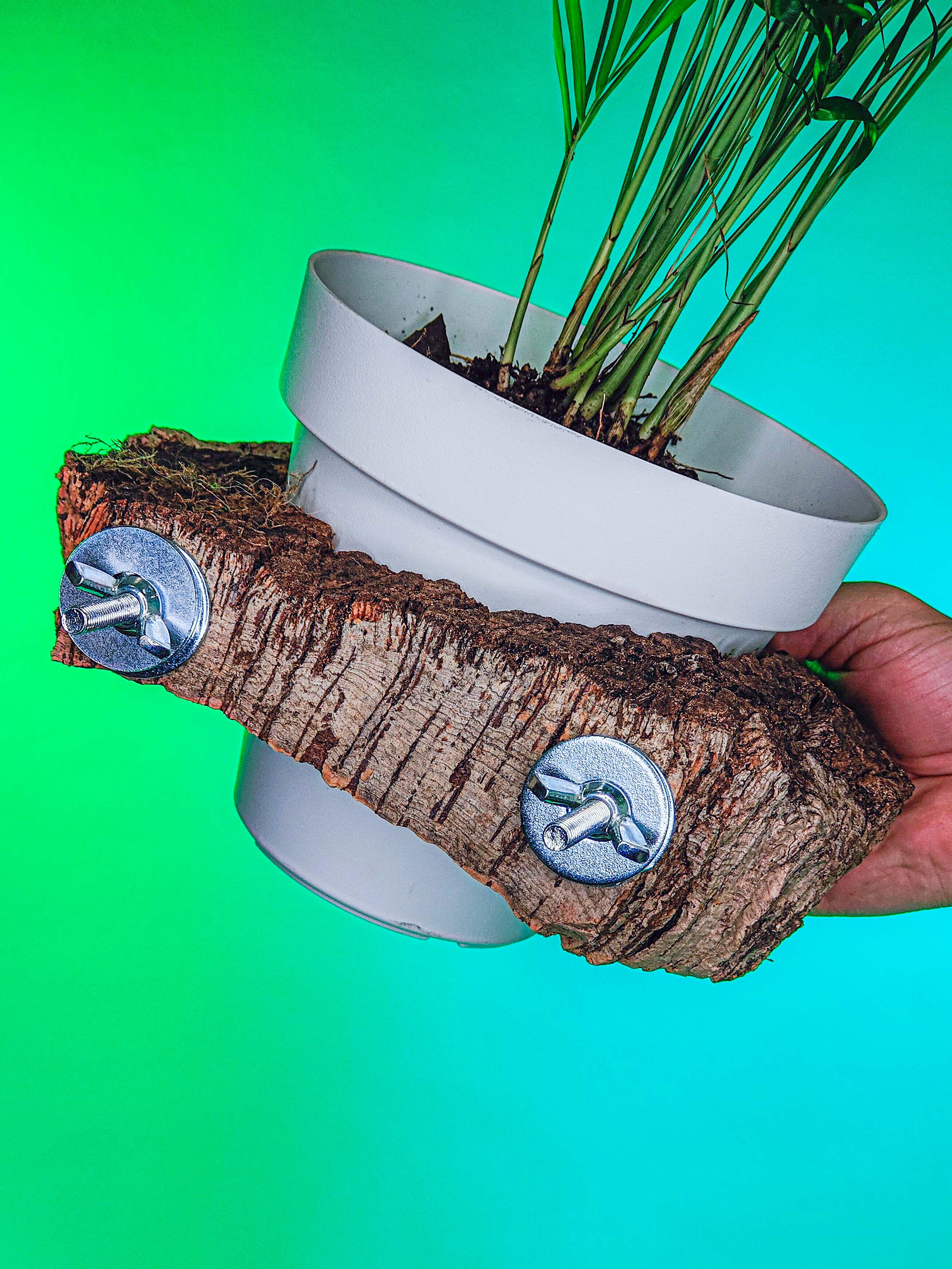 PLANTÍN soporte con planta