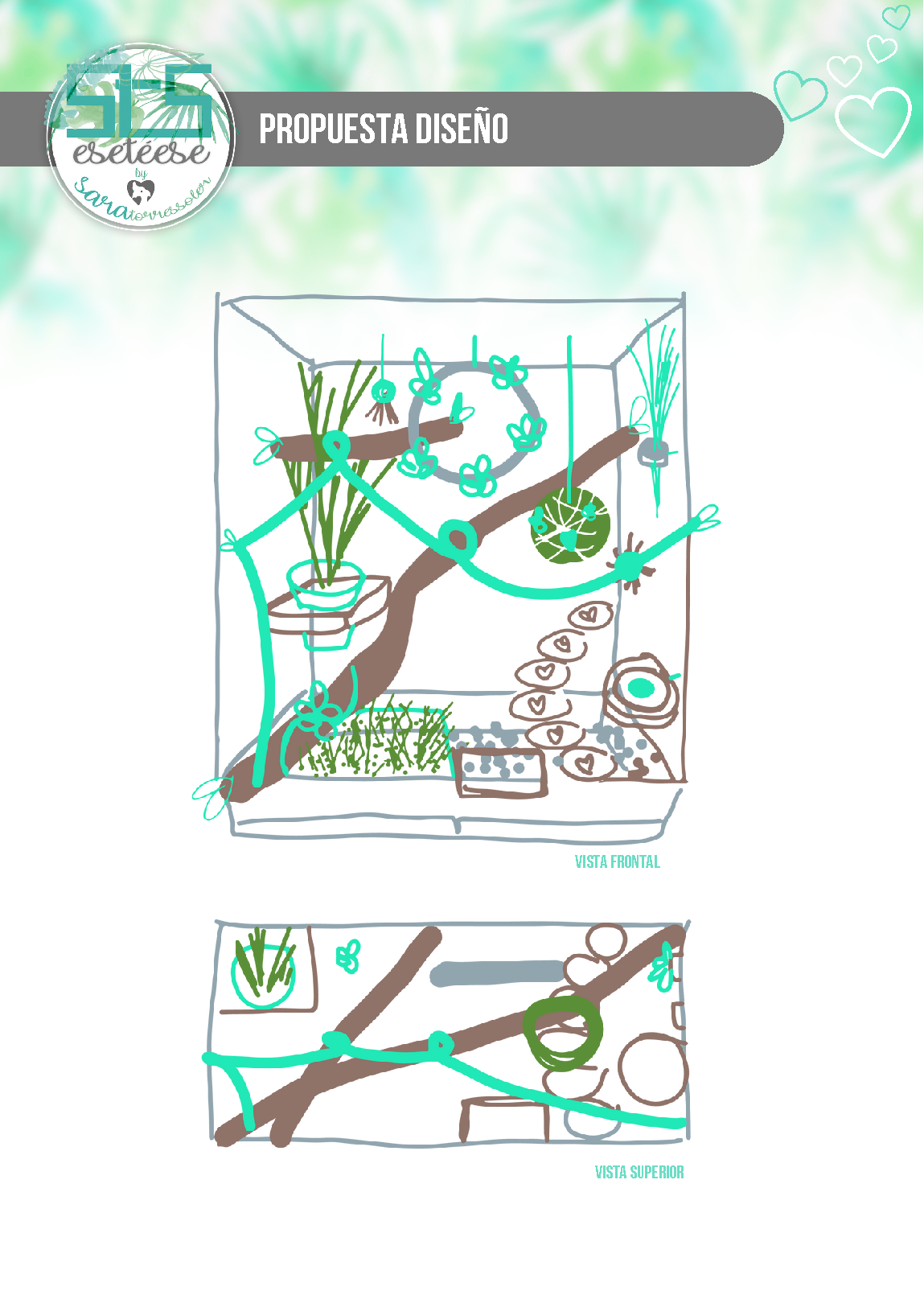 DISEÑO DE ESPACIOS | Jaula