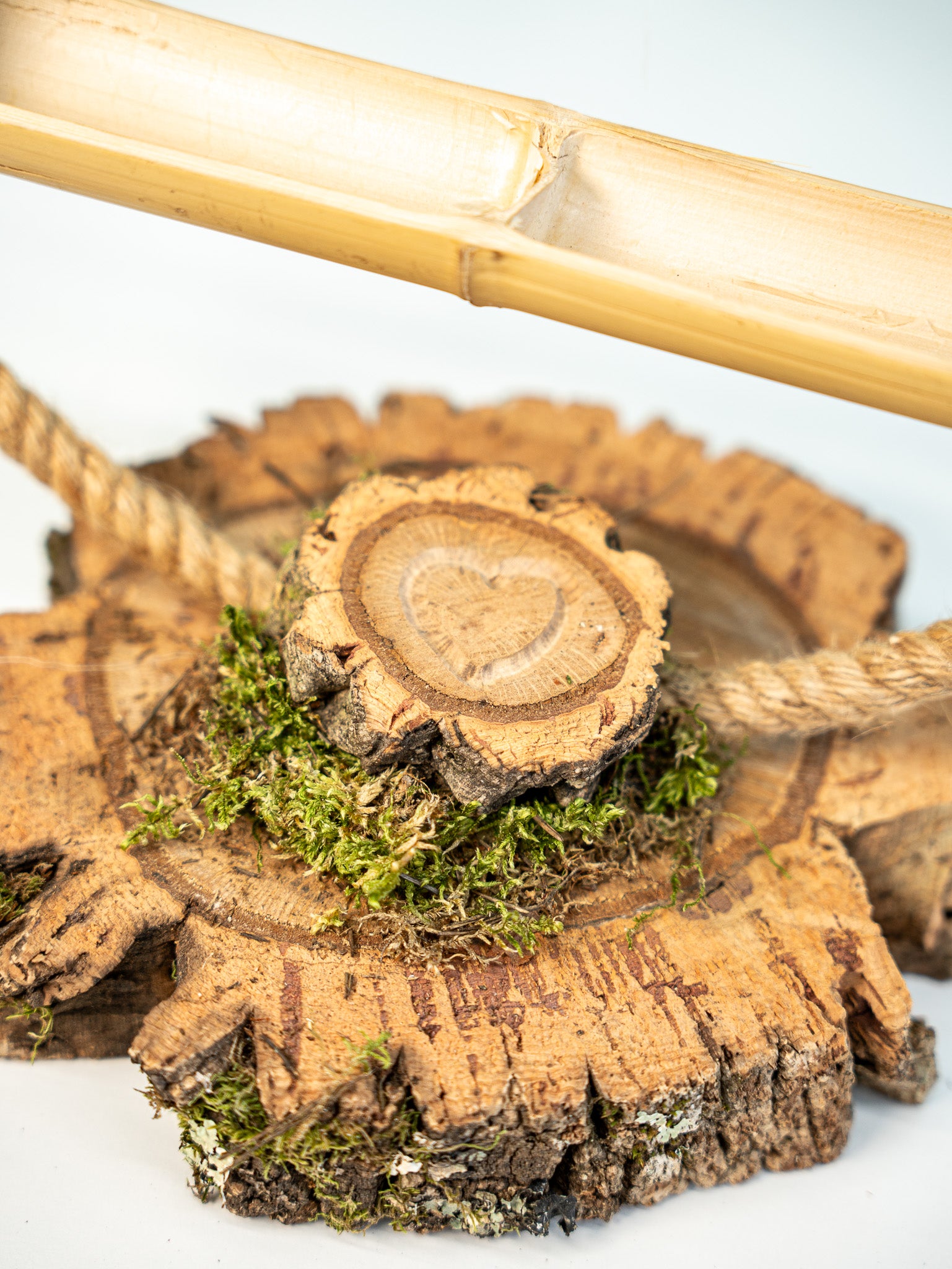 PARQUECITO NORIA (unidades limitadas)