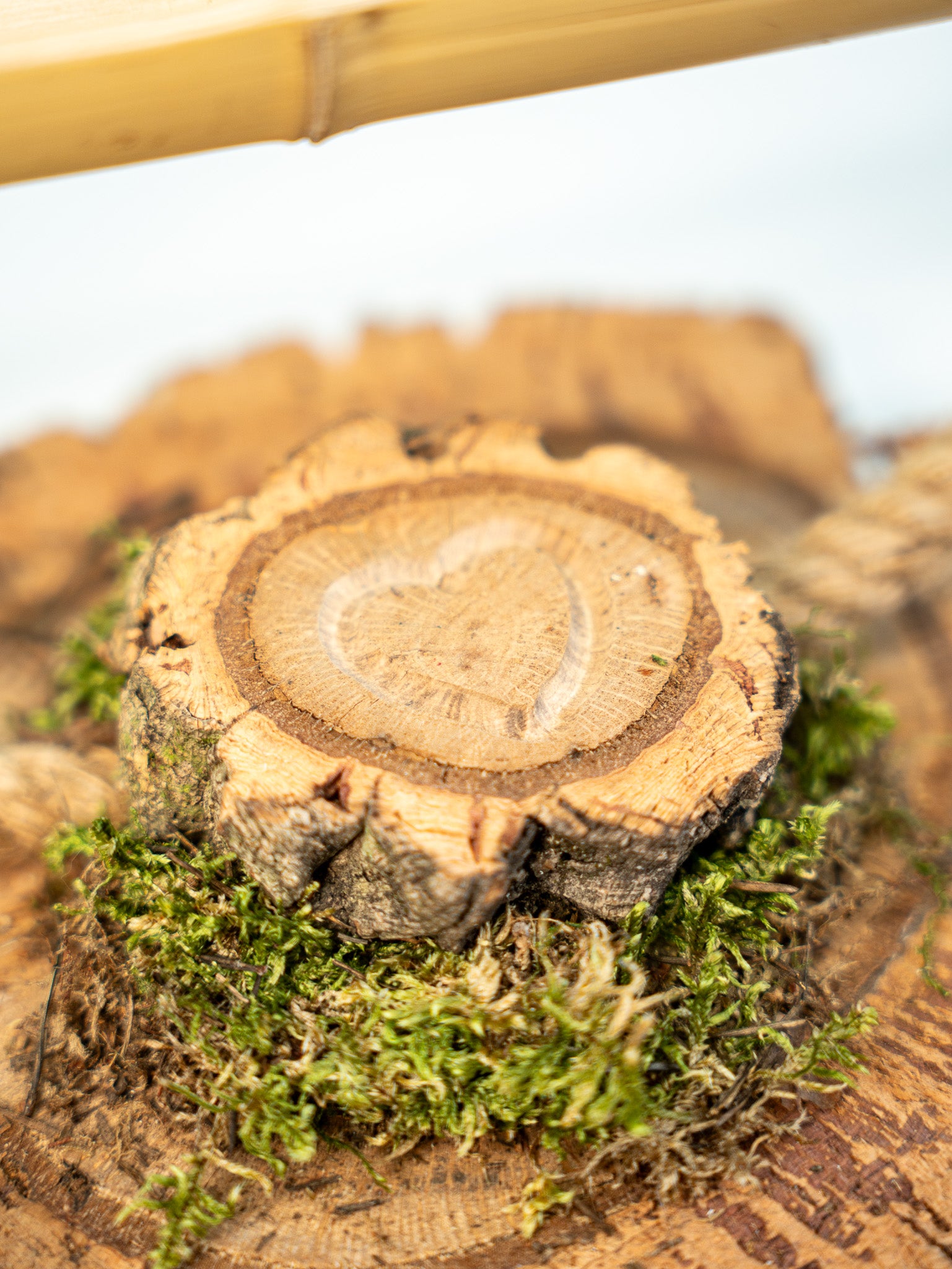 PARQUECITO NORIA (unidades limitadas)