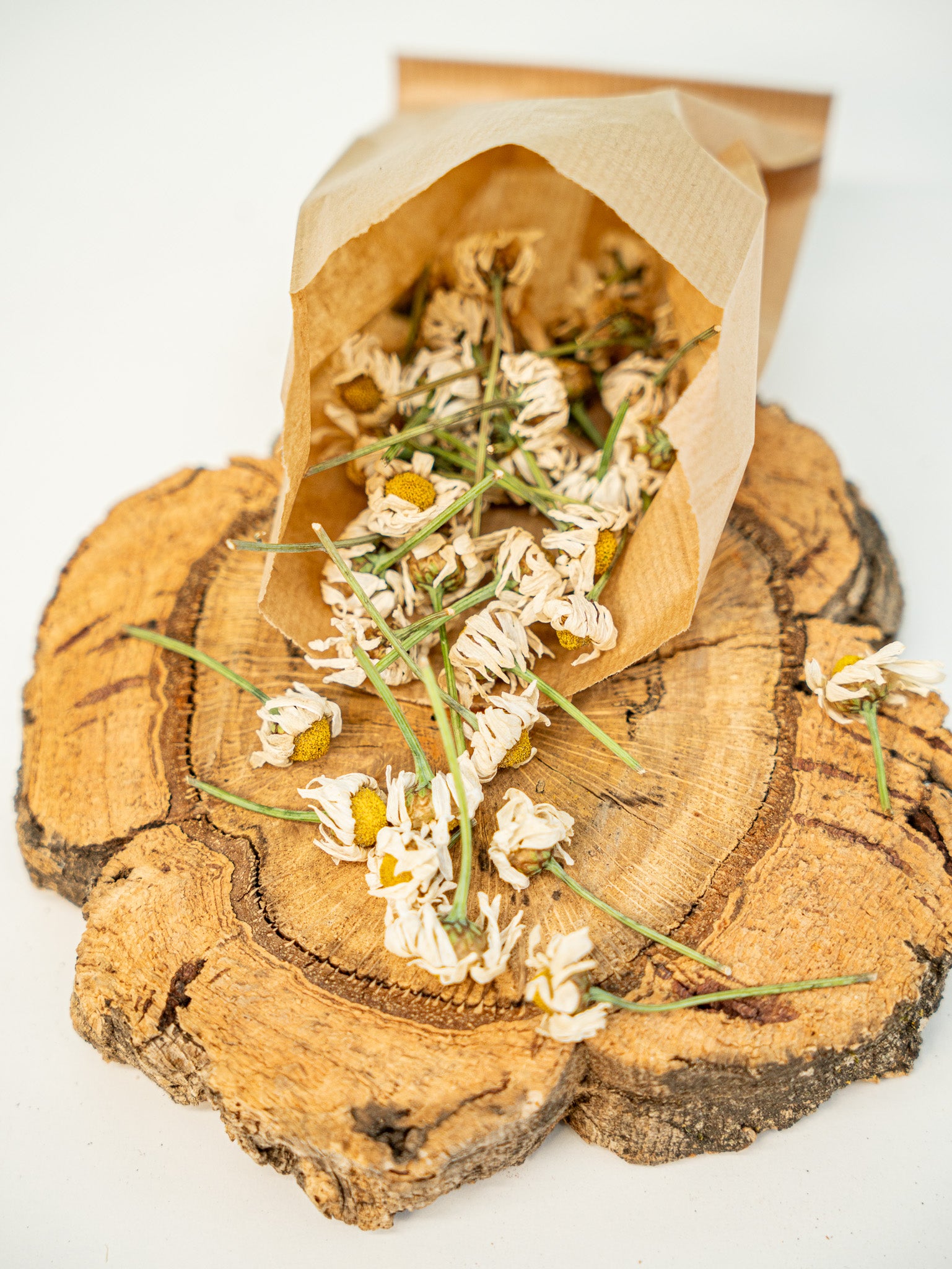 FLORES DE MARGARITA
