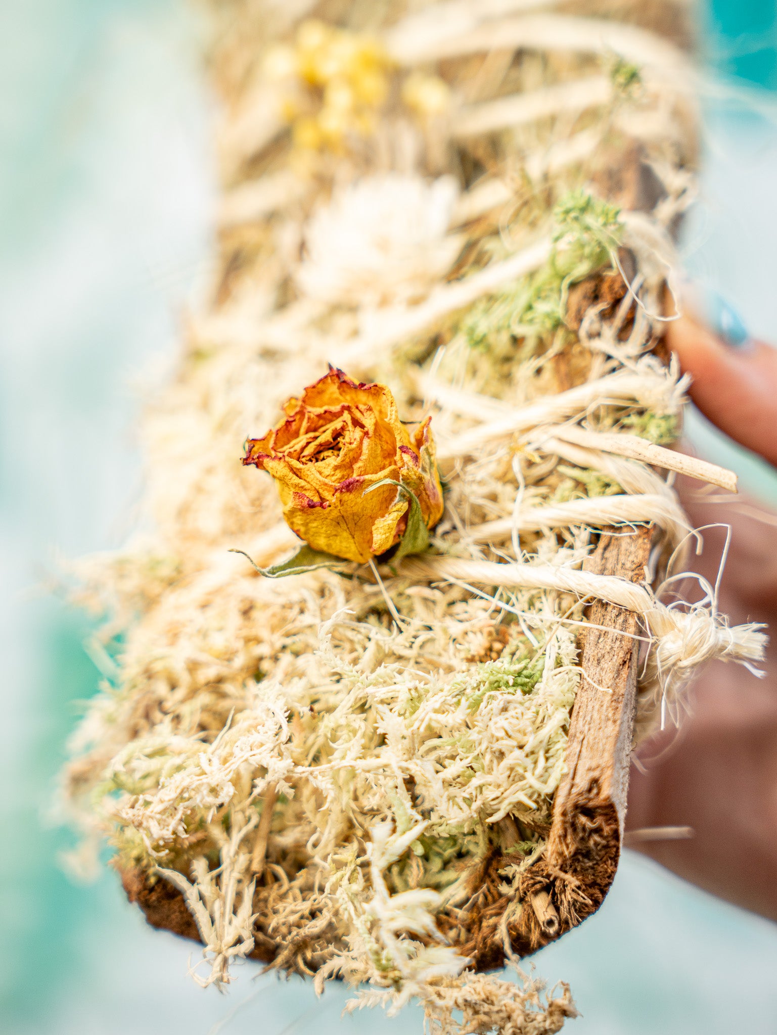 Bandeja eucalipto rellena