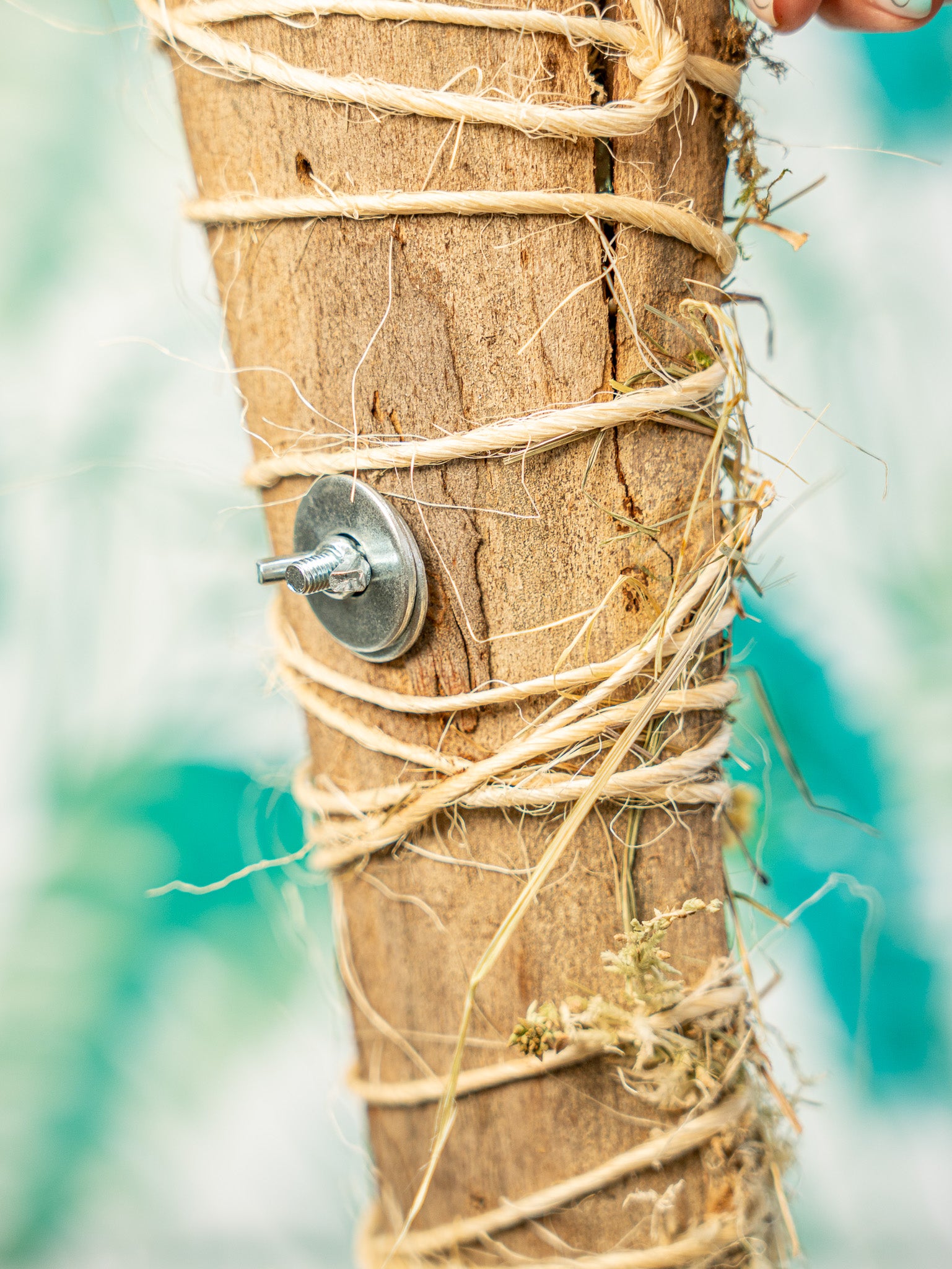 Bandeja eucalipto rellena