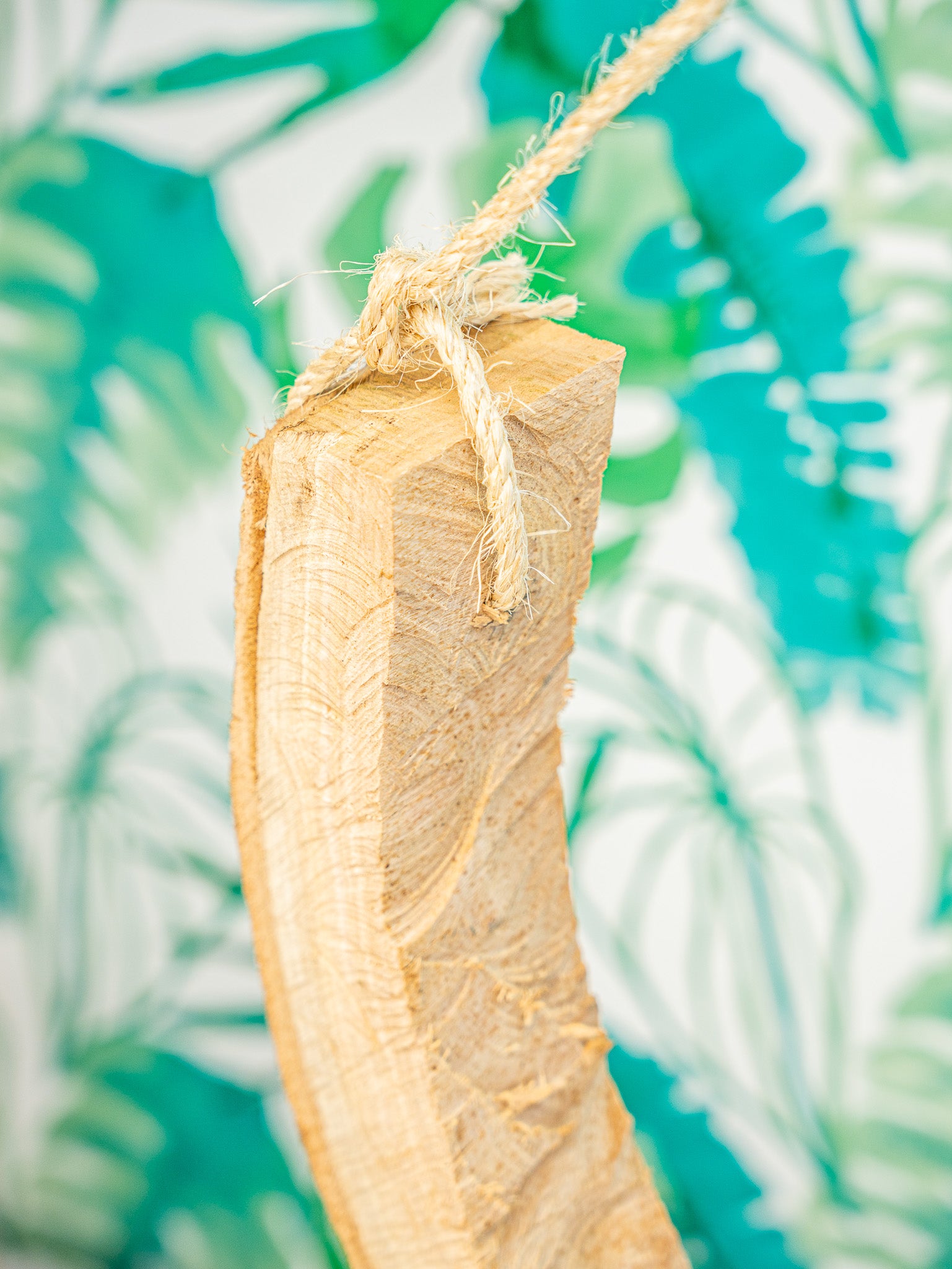 COLUMPIO EUCALIPTO XL (edición limitada)