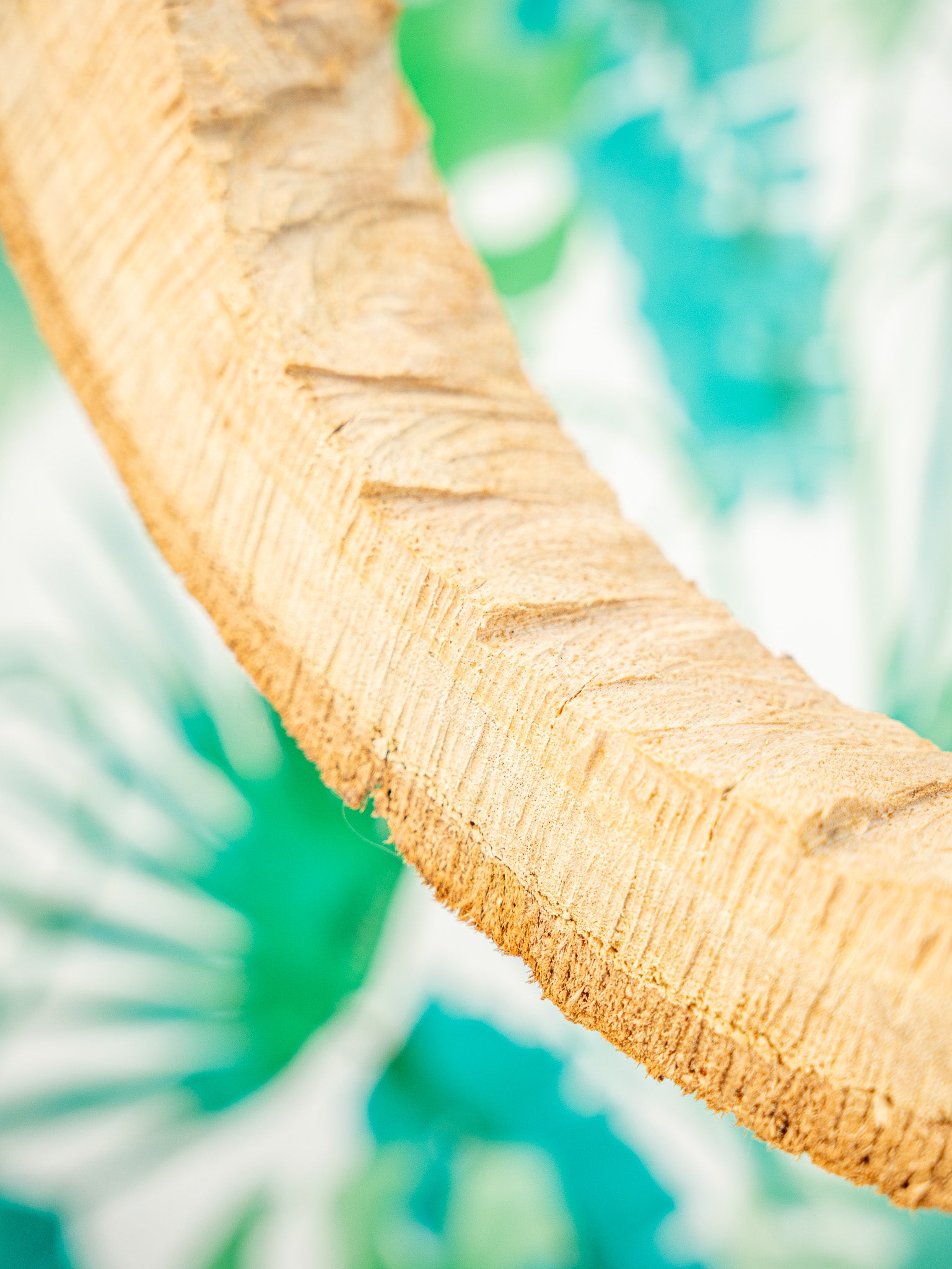 COLUMPIO EUCALIPTO XL (edición limitada)