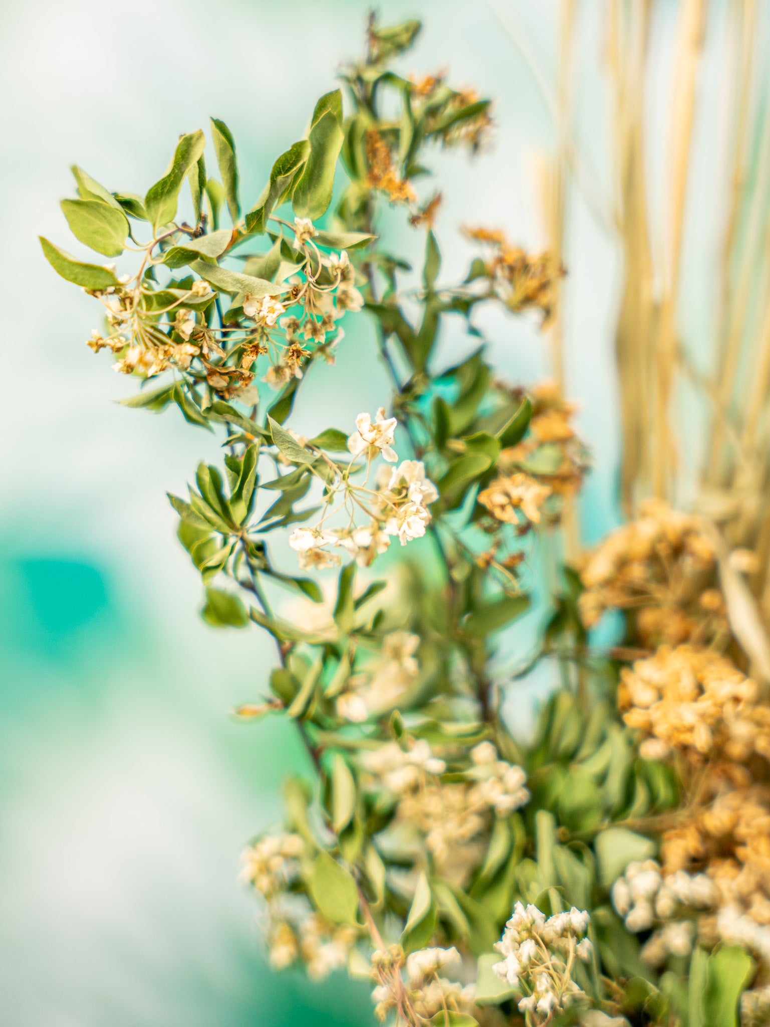 RAMILLETE flores espírea