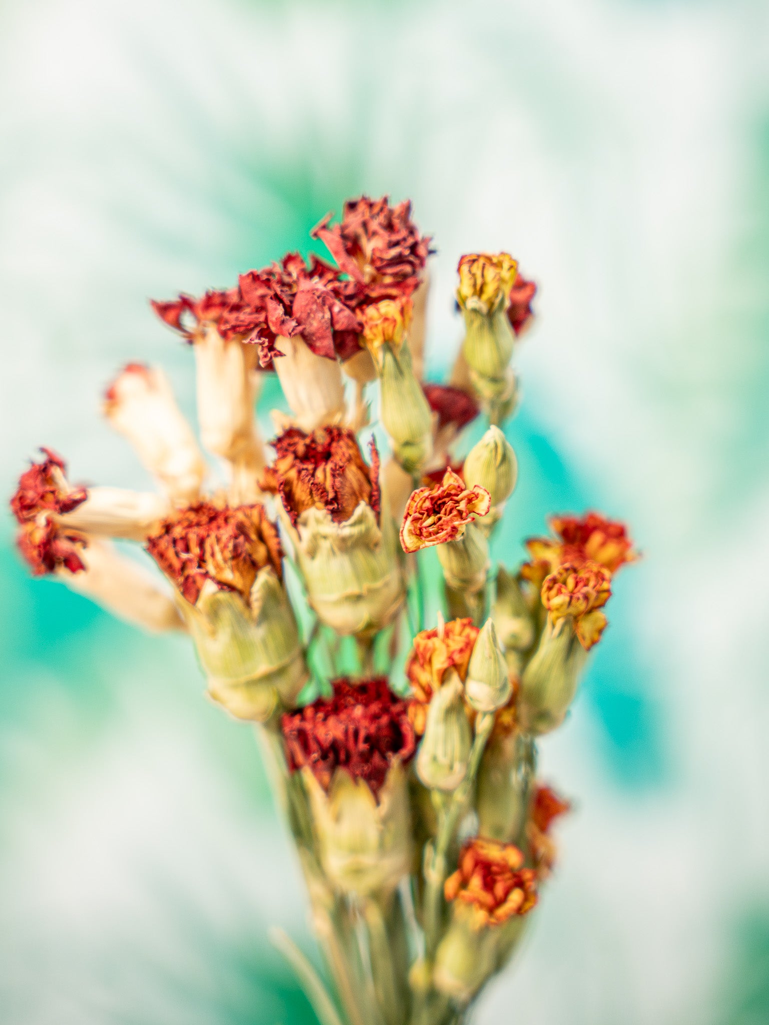 RAMILLETE flores clavel