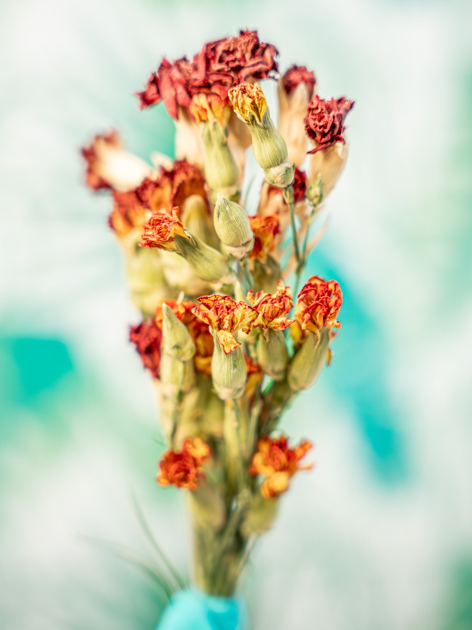 RAMILLETE flores clavel