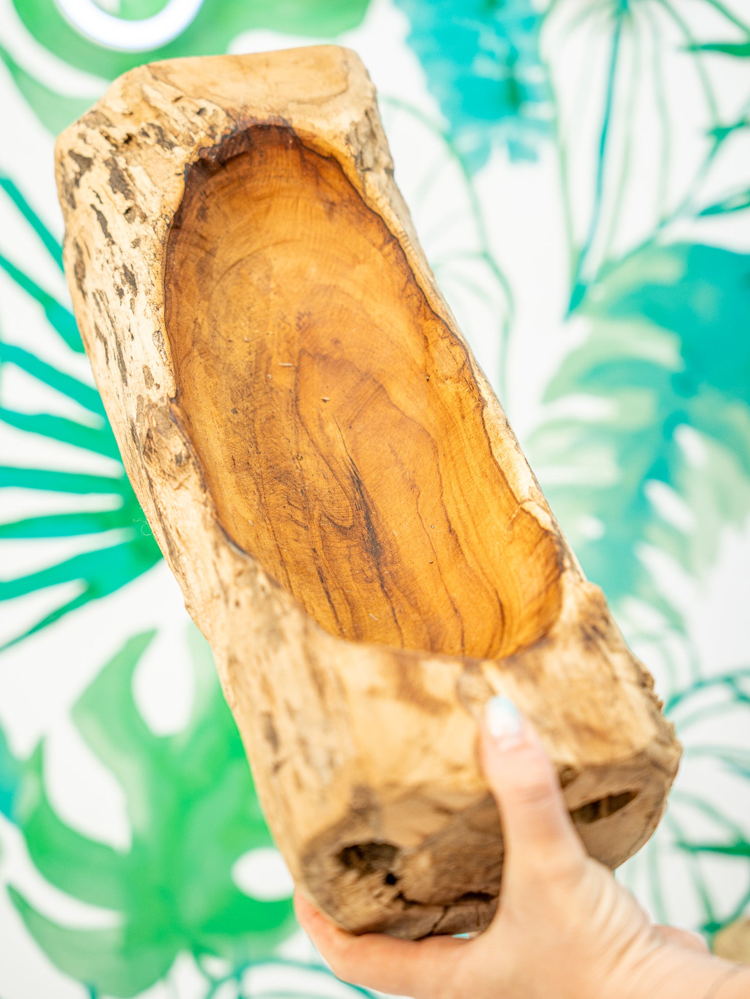 BANDEJA TACO TEKA (piezas limitadas)