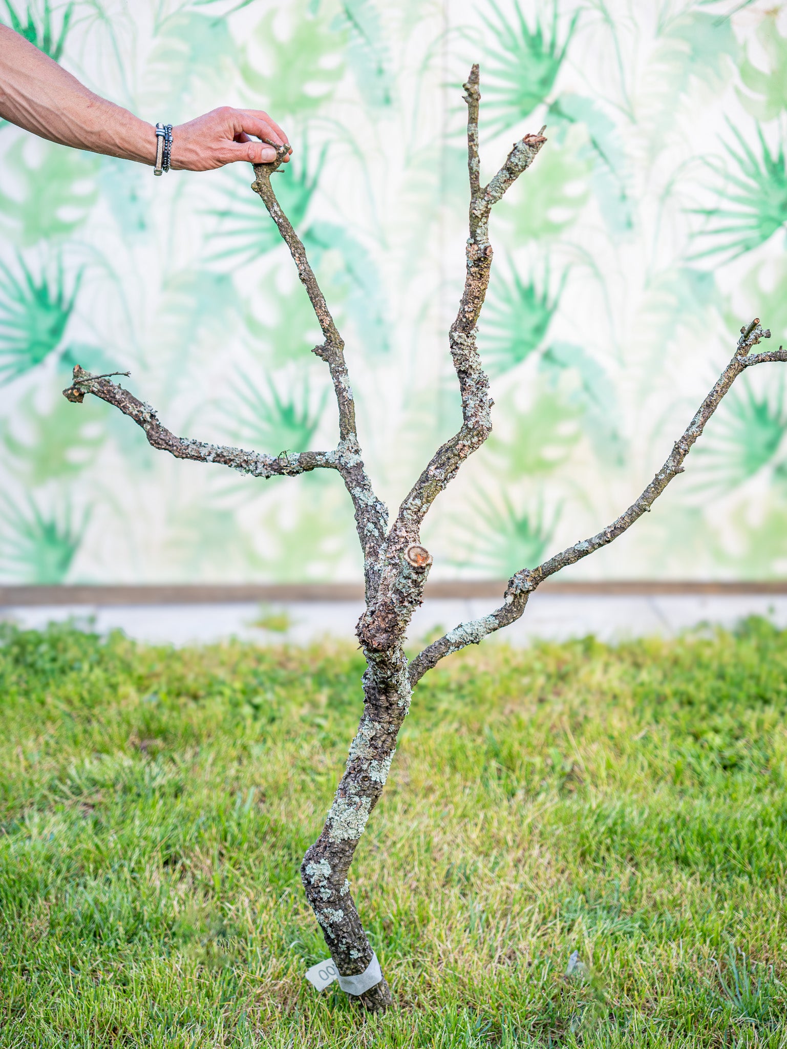 RAMA ESCULTURAL #100 (120x40cm) pieza única