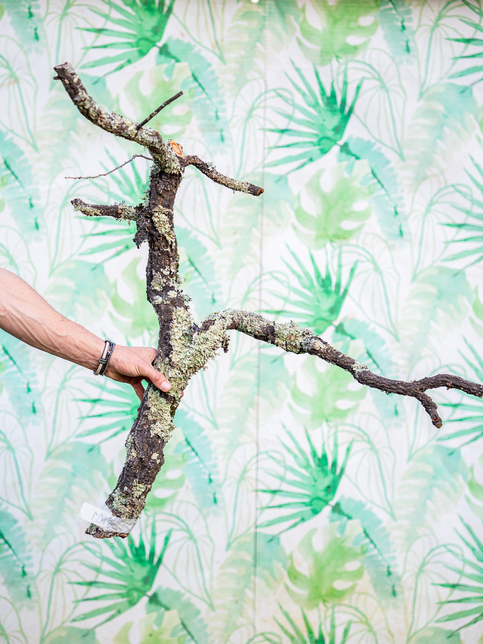 RAMA ESCULTURAL #101 (70x70cm) pieza única