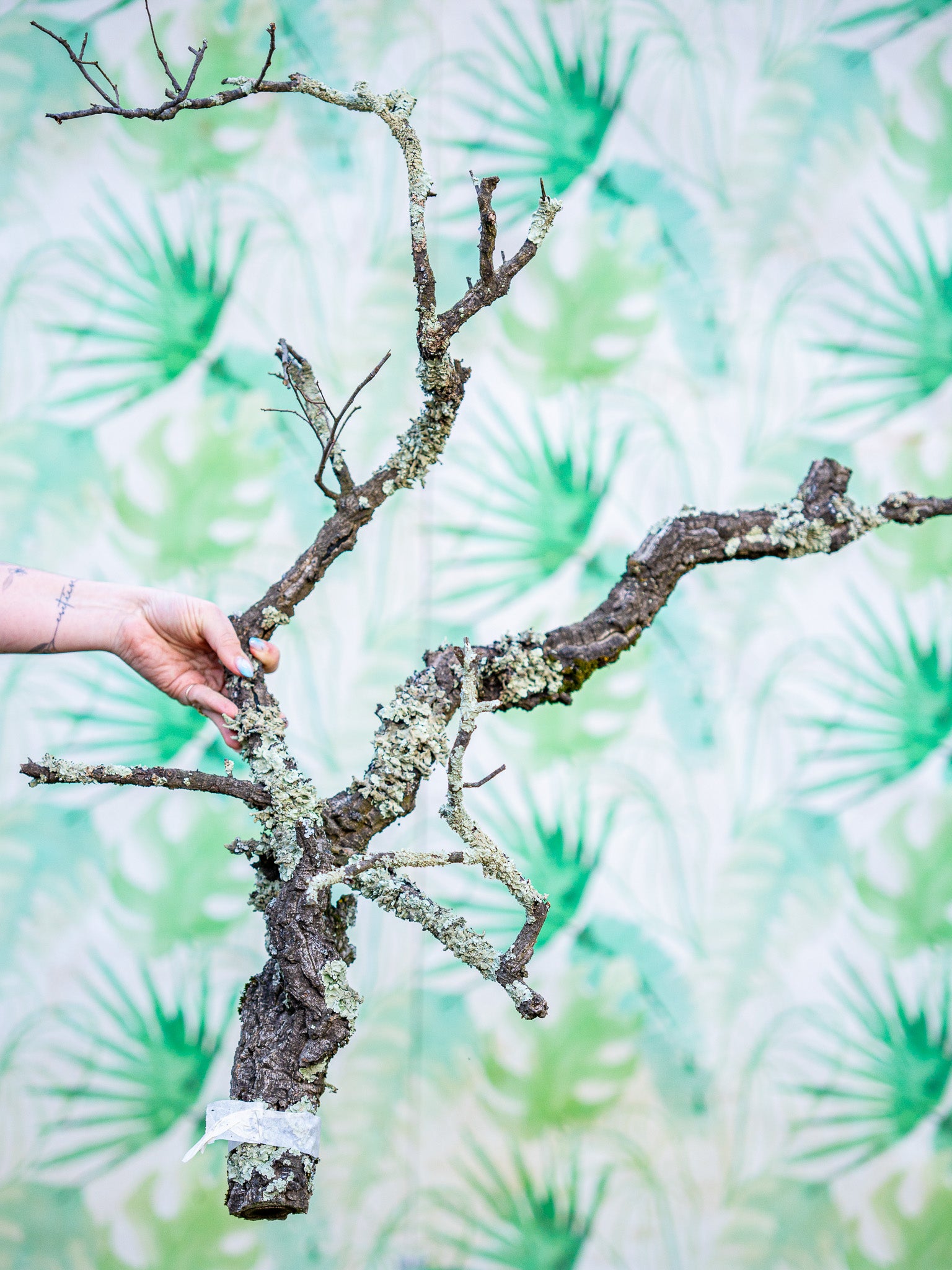 RAMA ESCULTURAL #102 (70x40cm) pieza única