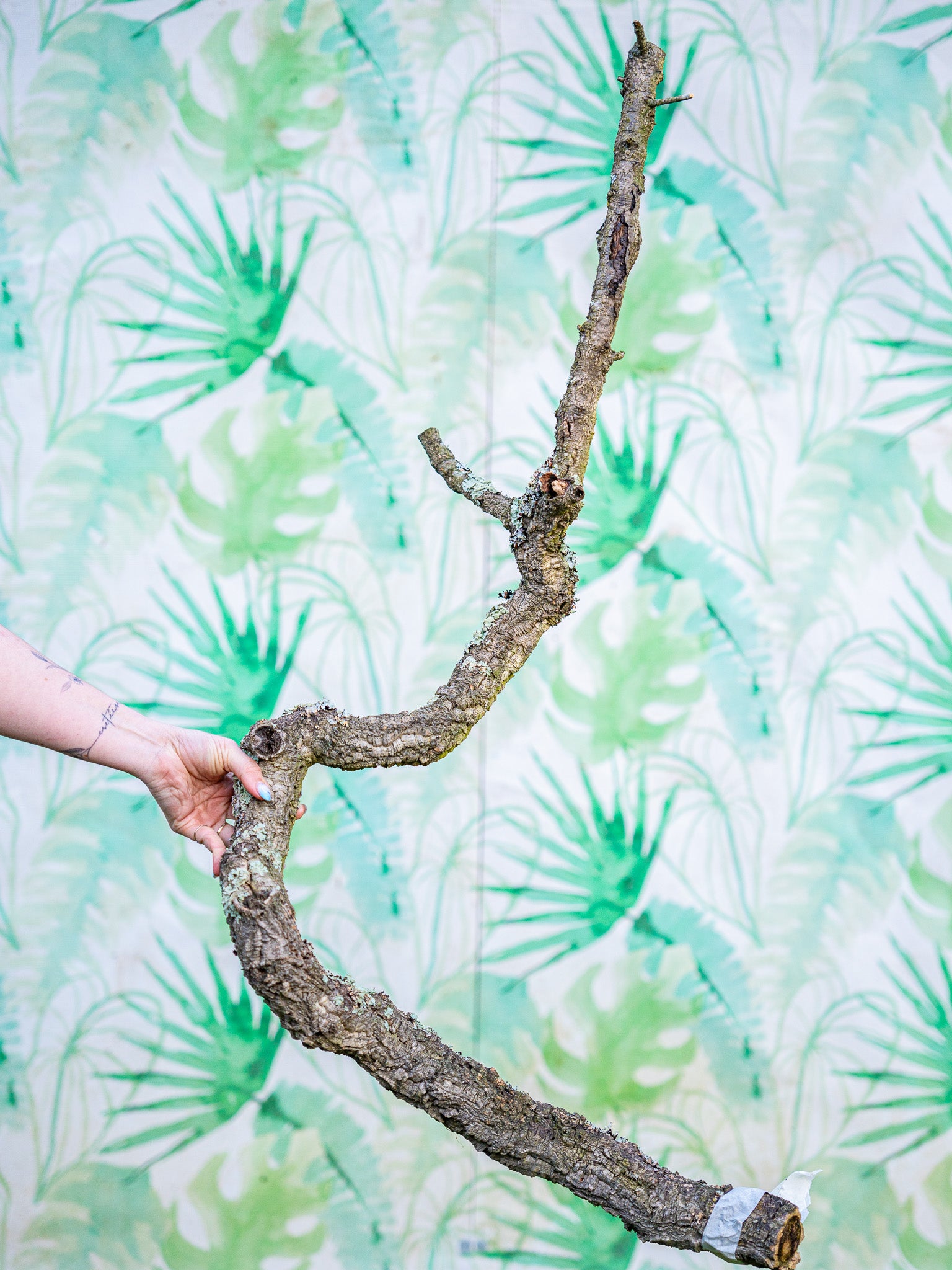 RAMA ESCULTURAL #103 (100x60cm) pieza única