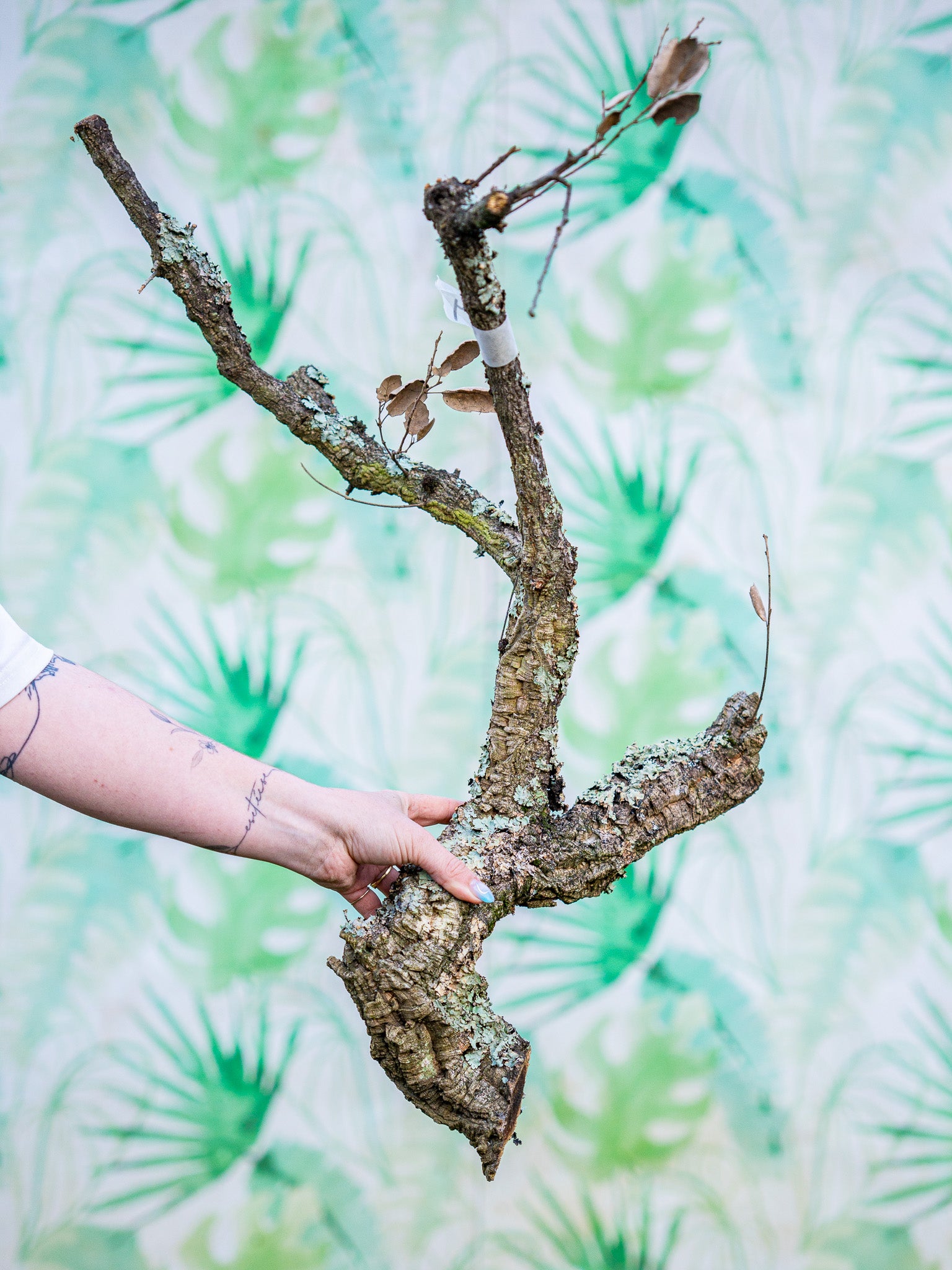 RAMA ESCULTURAL #104 (70x30cm) pieza única