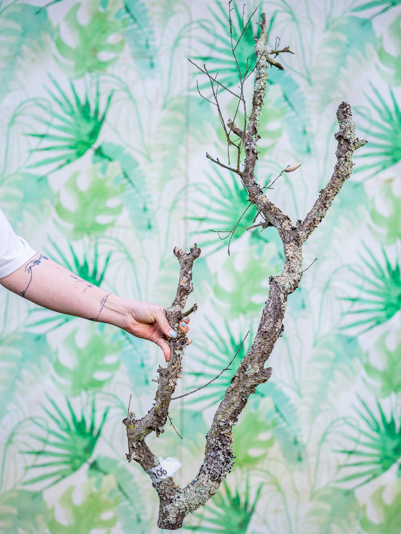 RAMA ESCULTURAL #106 (110x30cm) pieza única