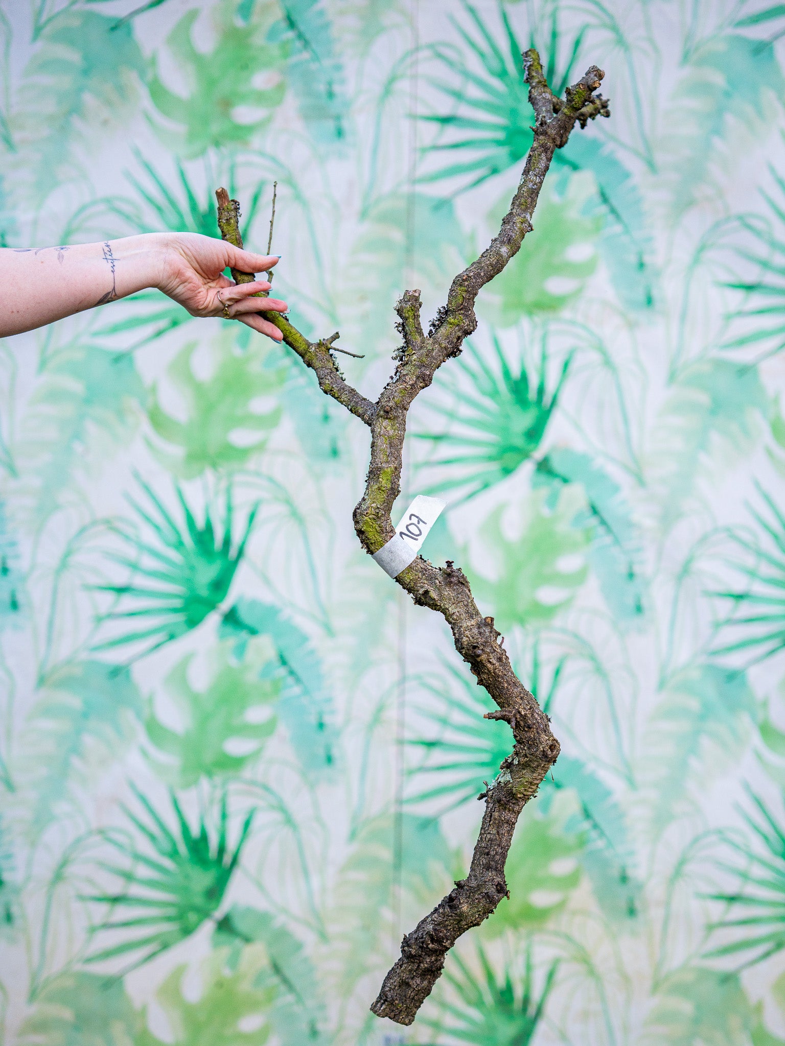 RAMA ESCULTURAL #107 (90x30cm) pieza única