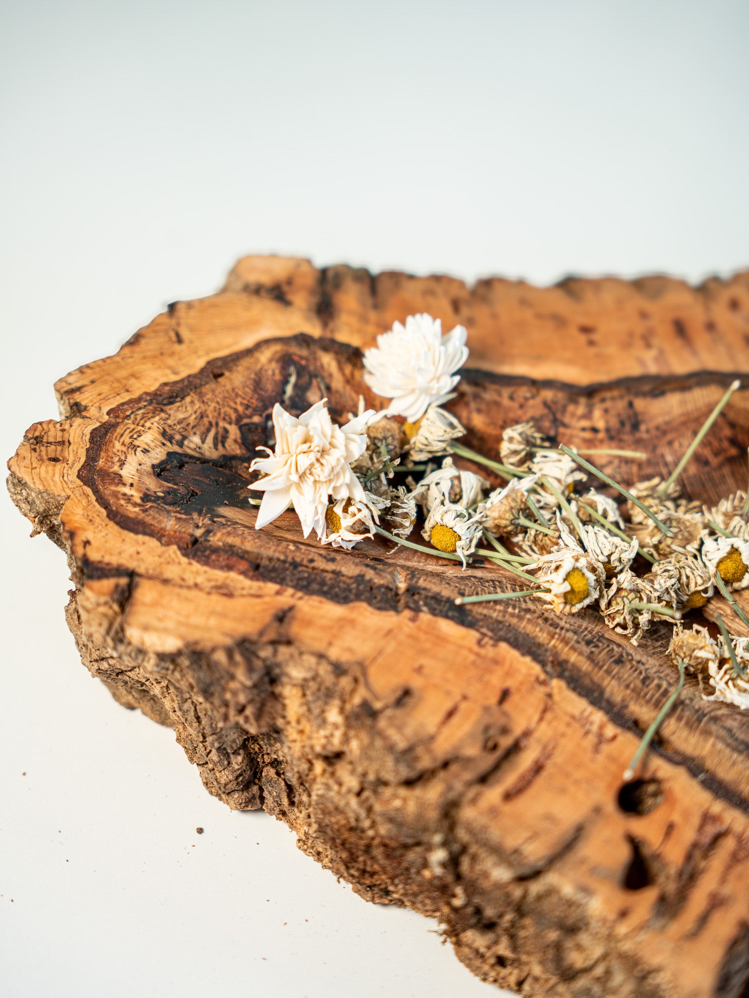 EUCALYPTUS TRAY (SINGLE PIECE #1) 40x12cm