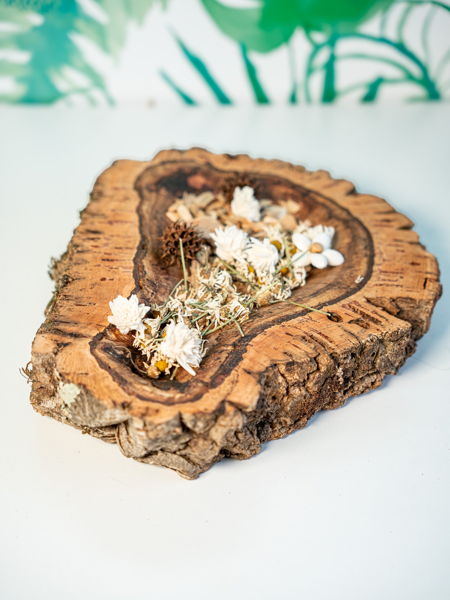EUCALYPTUS TRAY (SINGLE PIECE #1) 40x12cm