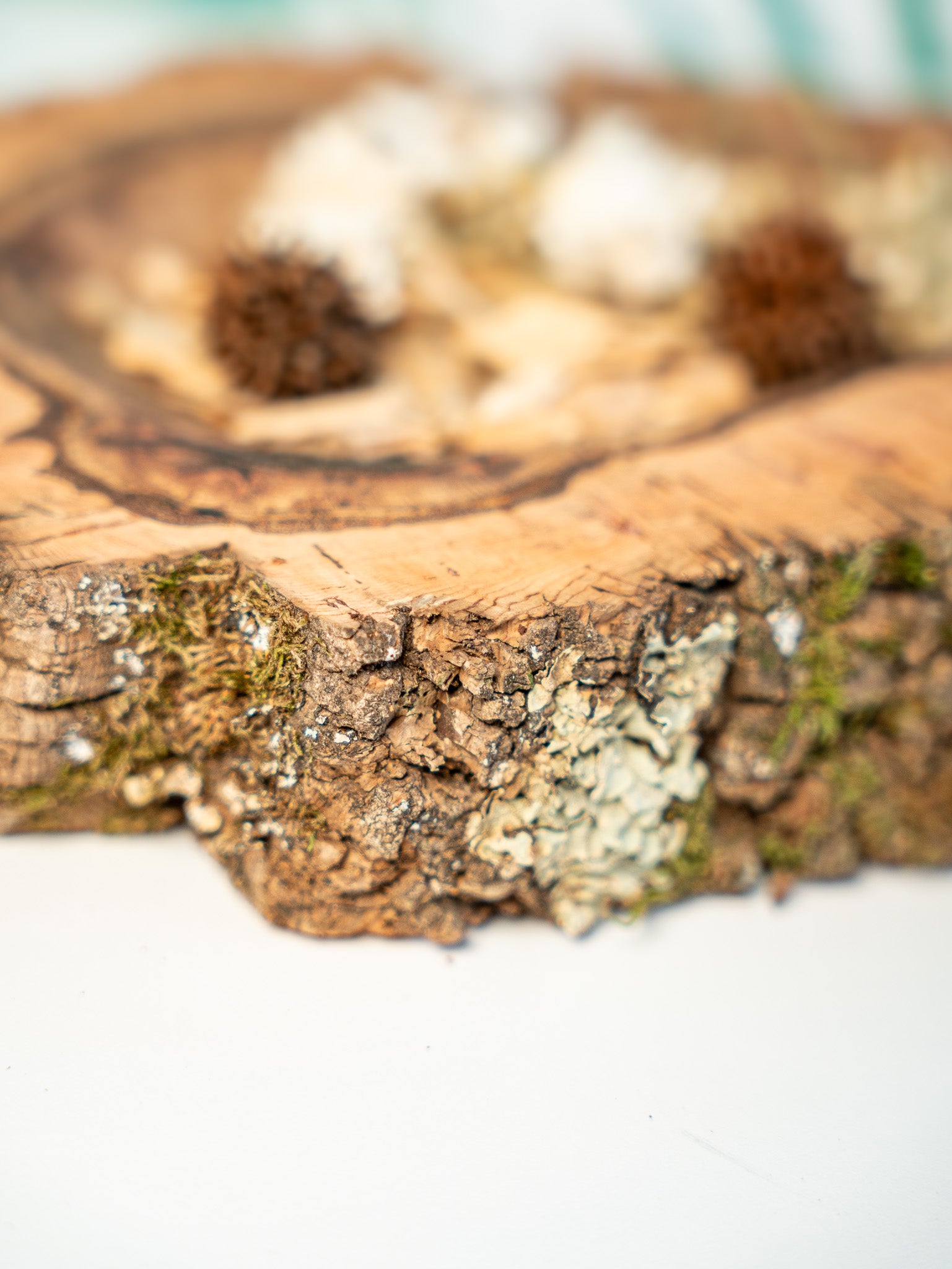 EUCALYPTUS TRAY (SINGLE PIECE #1) 40x12cm