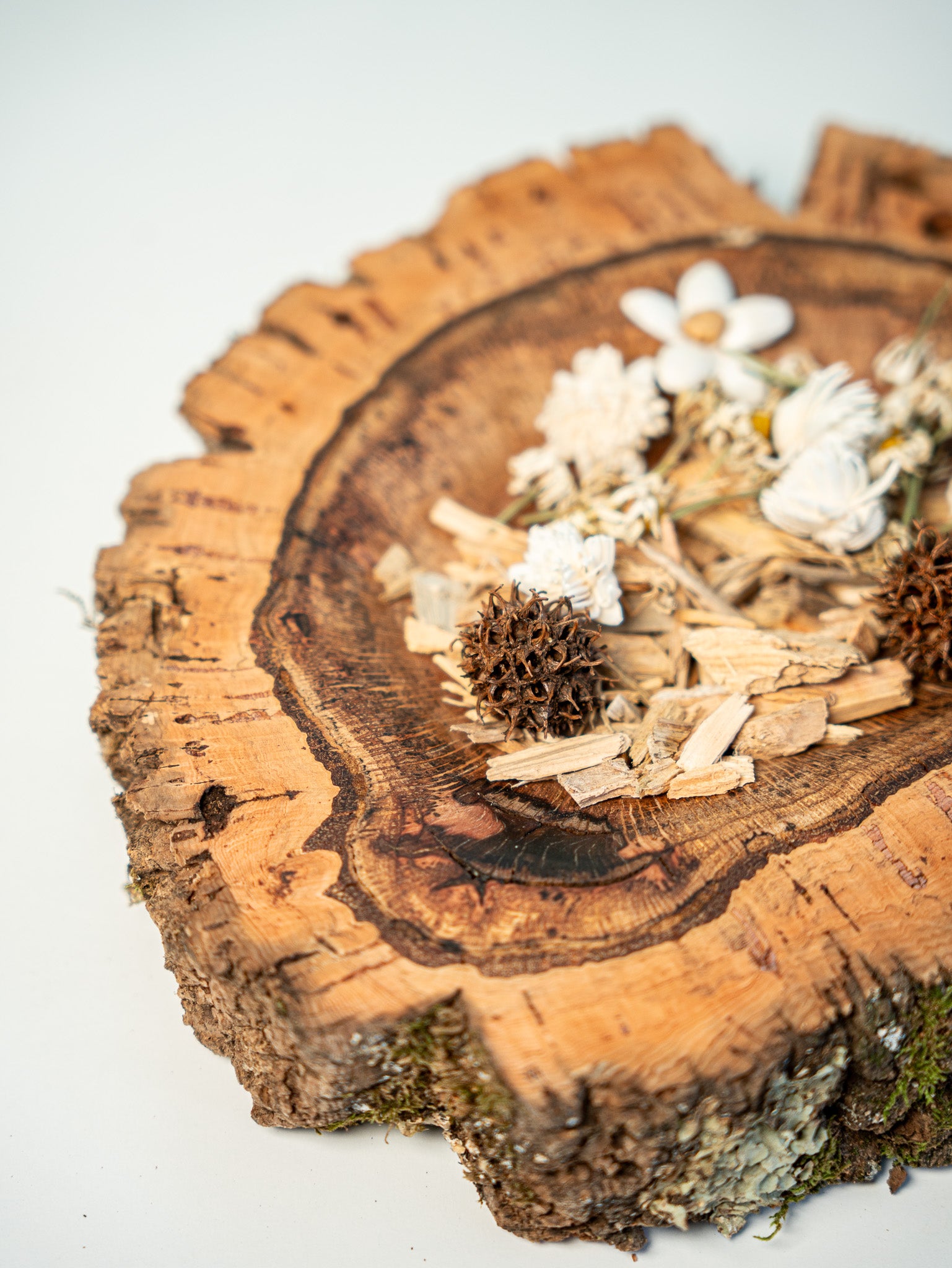 EUCALYPTUS TRAY (SINGLE PIECE #1) 40x12cm