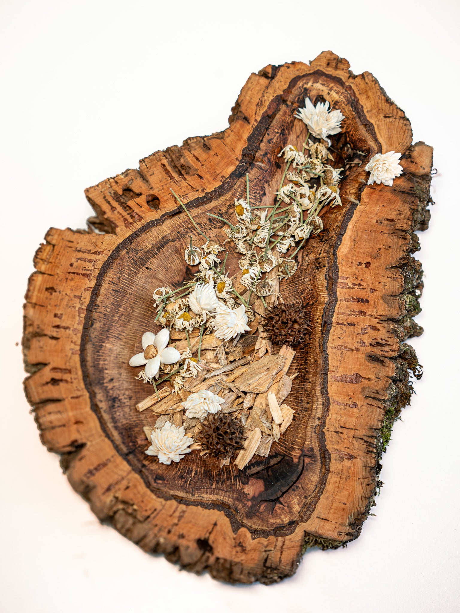 EUCALYPTUS TRAY (SINGLE PIECE #1) 40x12cm