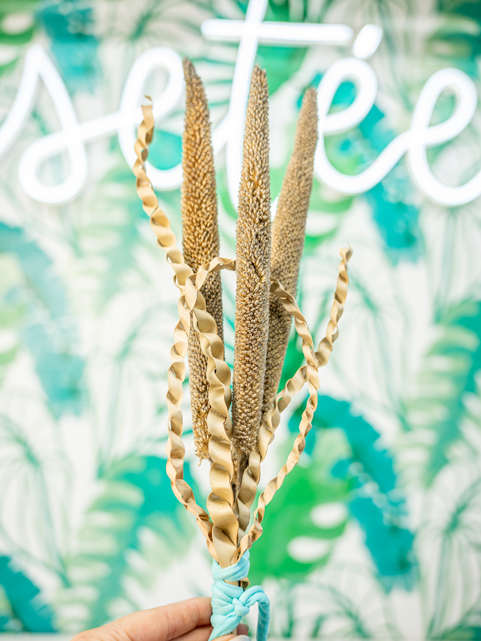 RAMILLETE semillas mijo perla