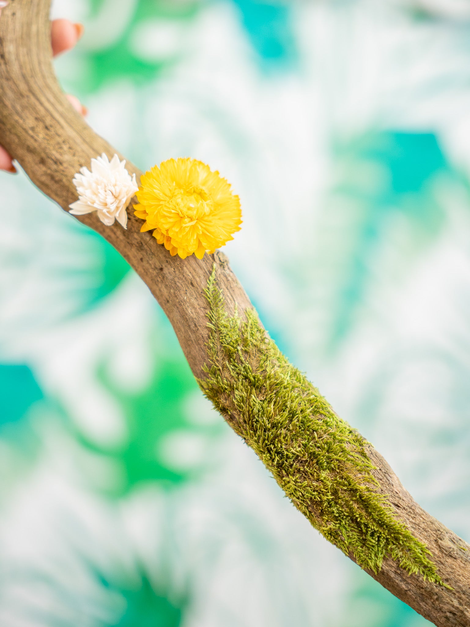 RAMA CON MUSGO curvada 65 cm (pieza única)