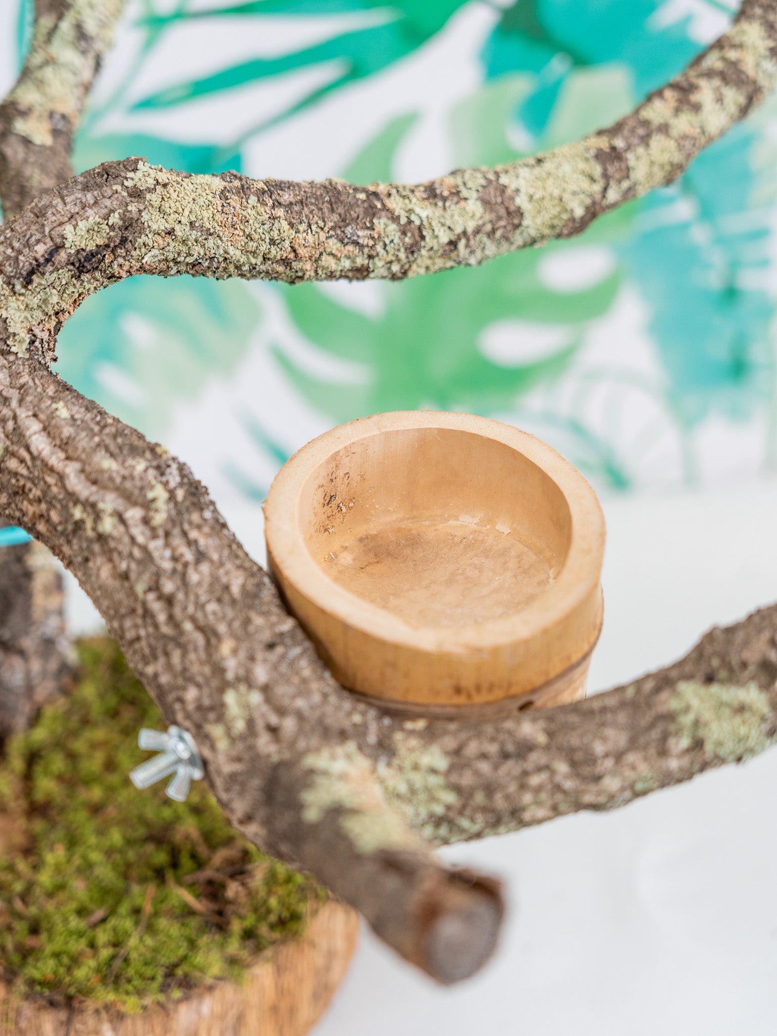 PERCHA SOBREMESA (PIEZA ÚNICA #16) 60x50