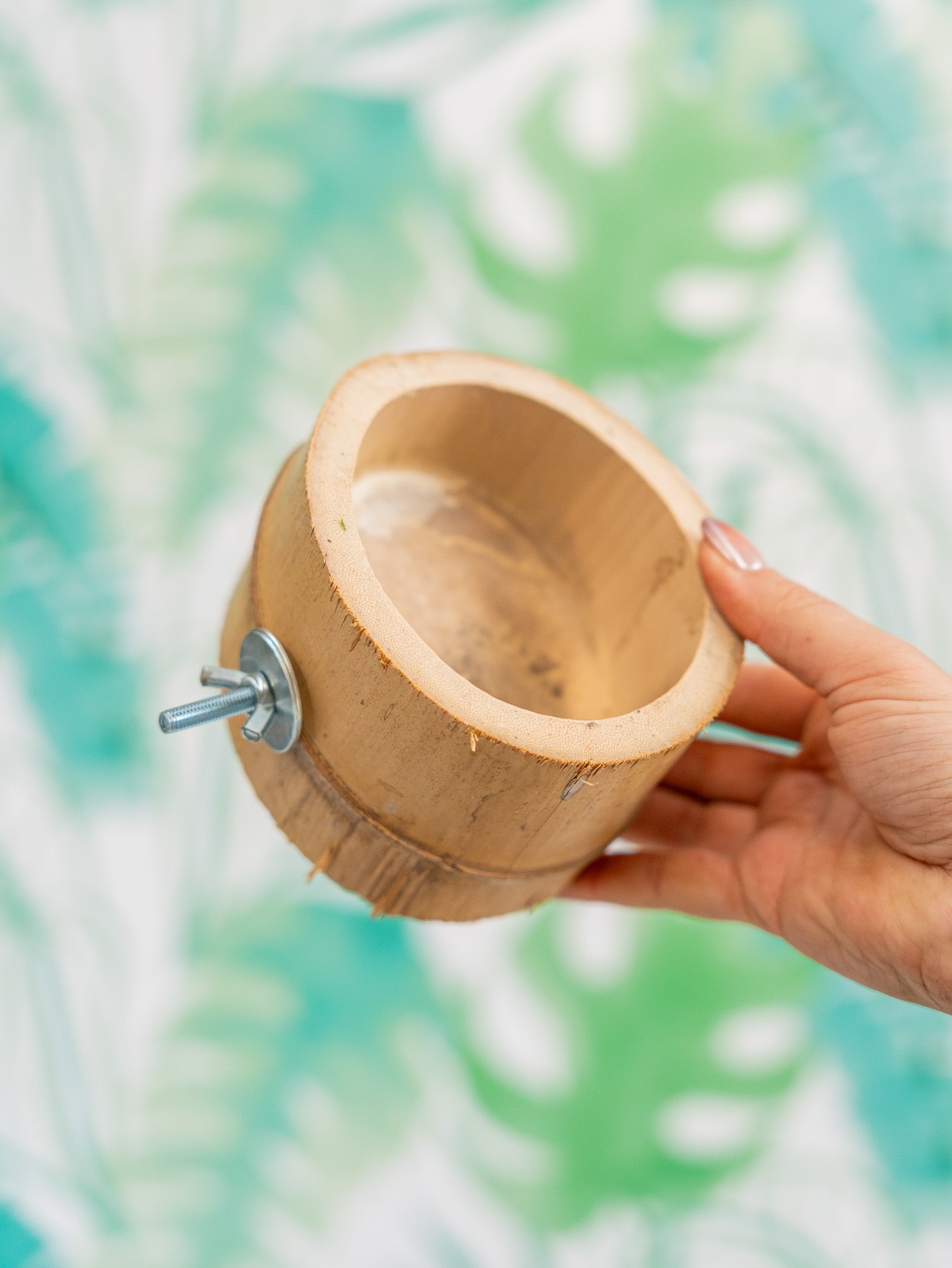 COMEDERO VASITO BAMBÚ XL(piezas limitadas)