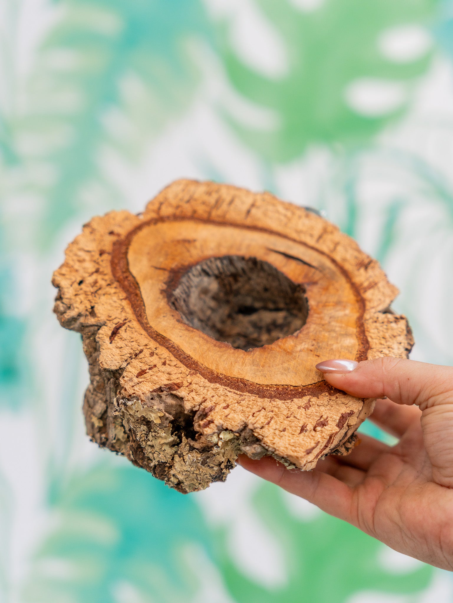 COMEDERO VERRUGA (pieza única #11)