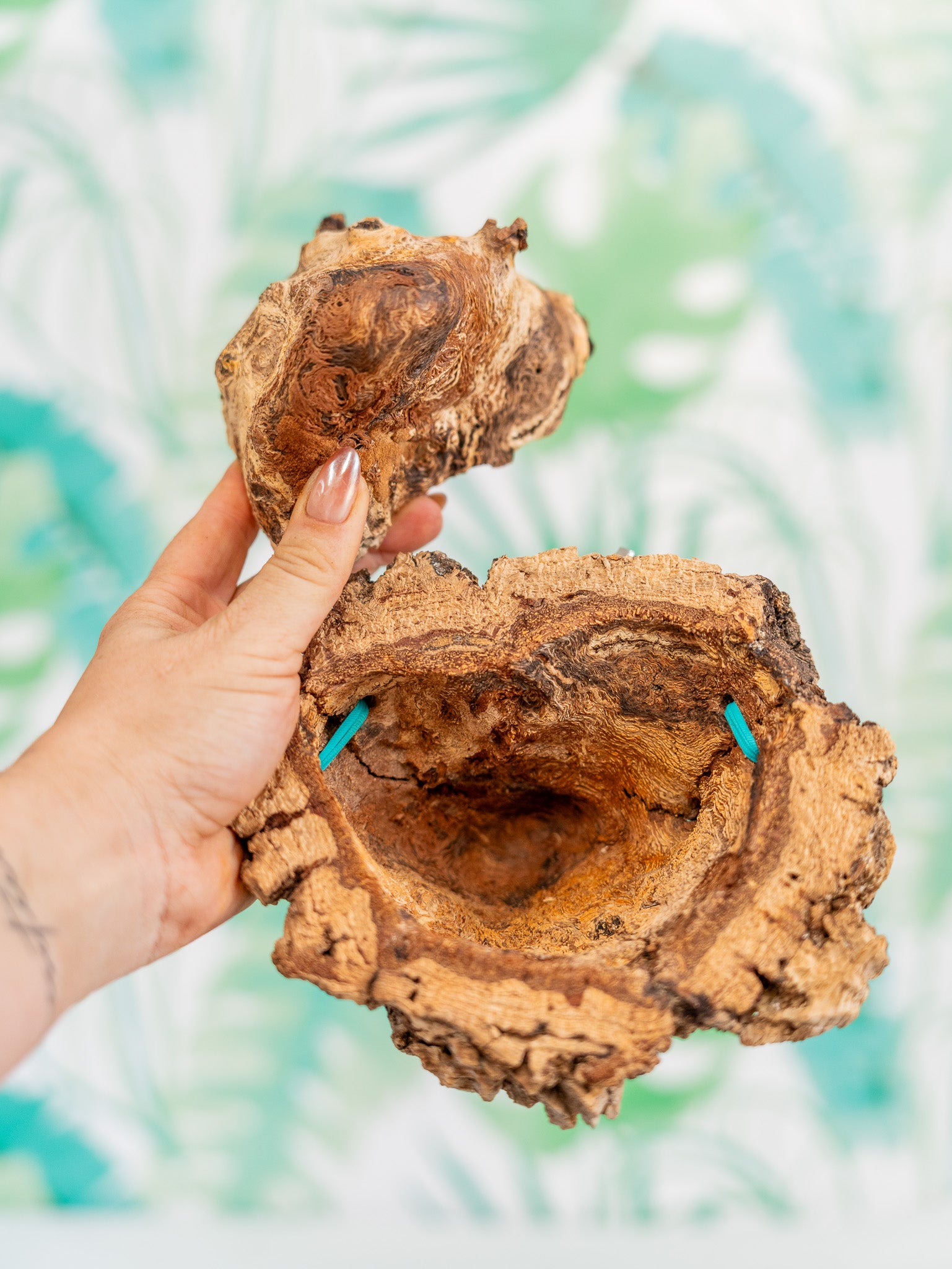 COMEDERO VERRUGA | corcho + interior (pieza única)