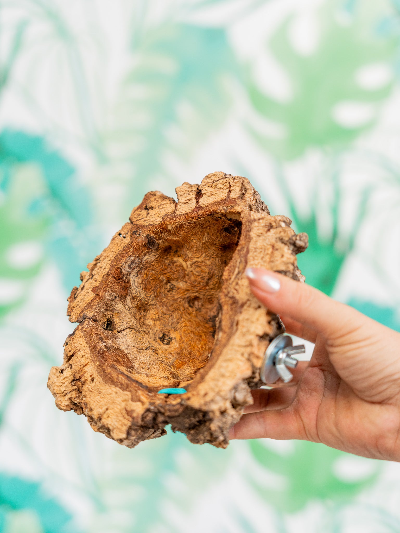 COMEDERO VERRUGA | corcho + interior (pieza única)