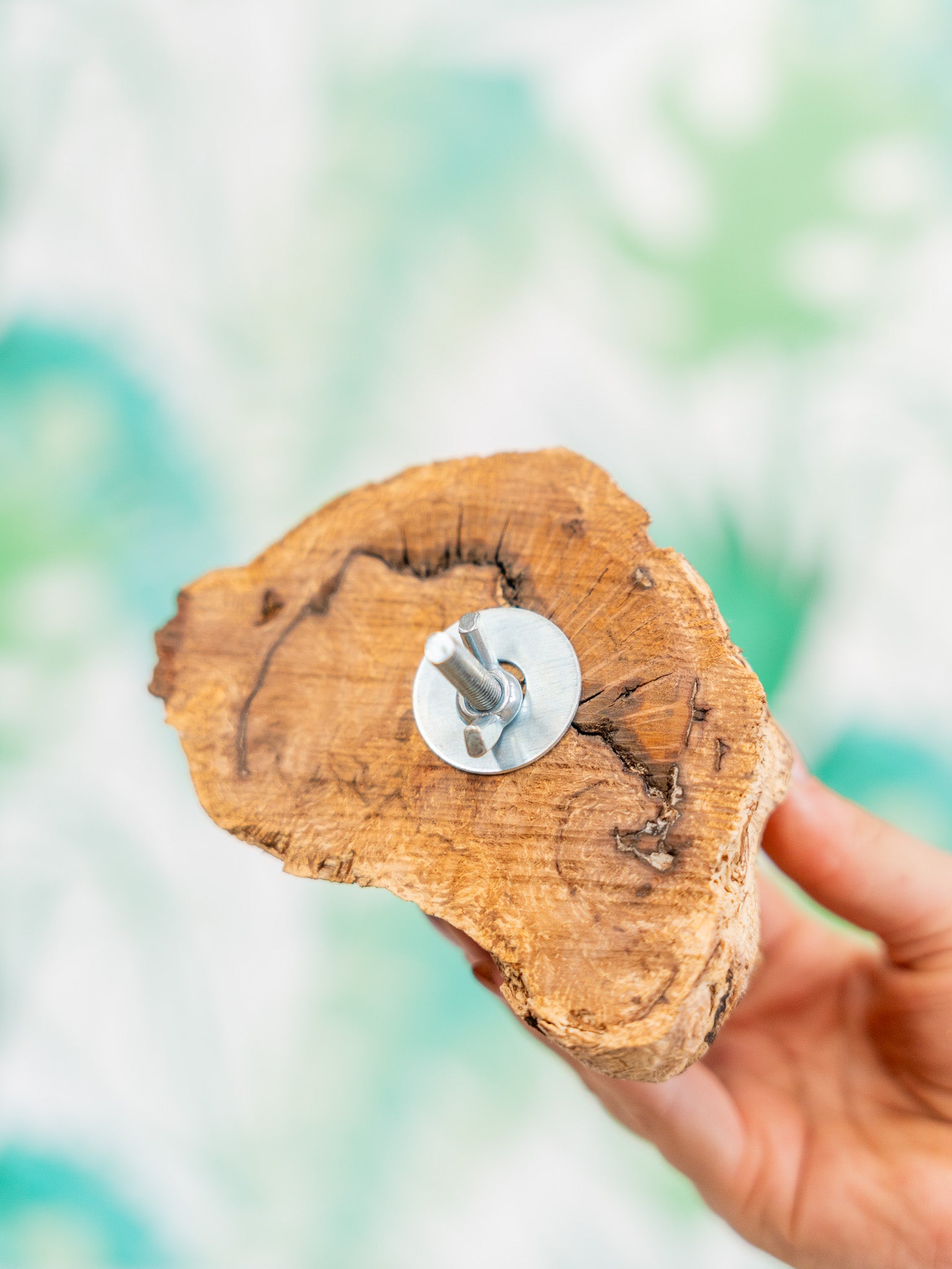 COMEDERO VERRUGA | corcho + interior (pieza única)