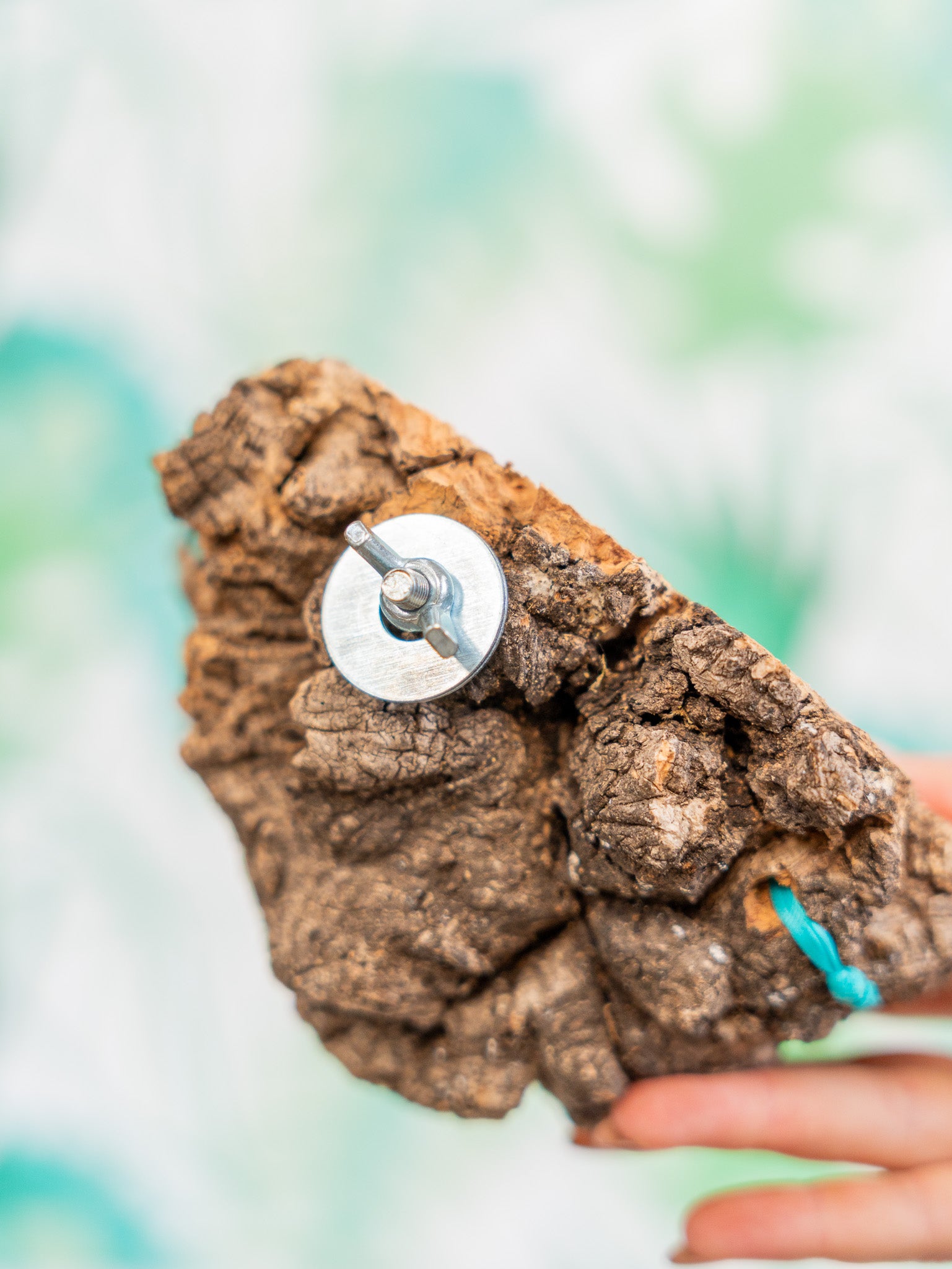 COMEDERO VERRUGA | corcho + interior (pieza única)