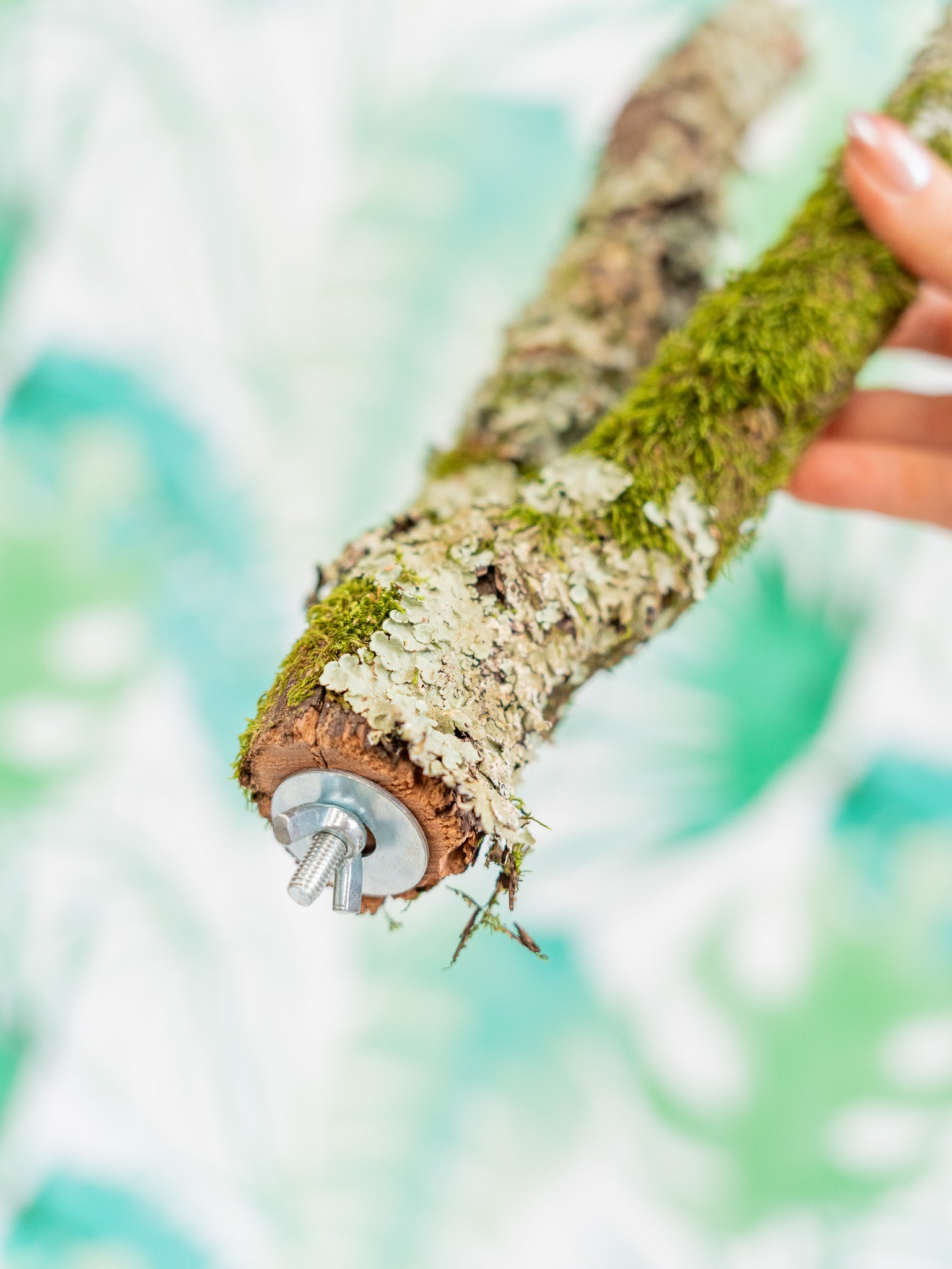 RAMA CON MUSGO en Y 30cm (pieza única)