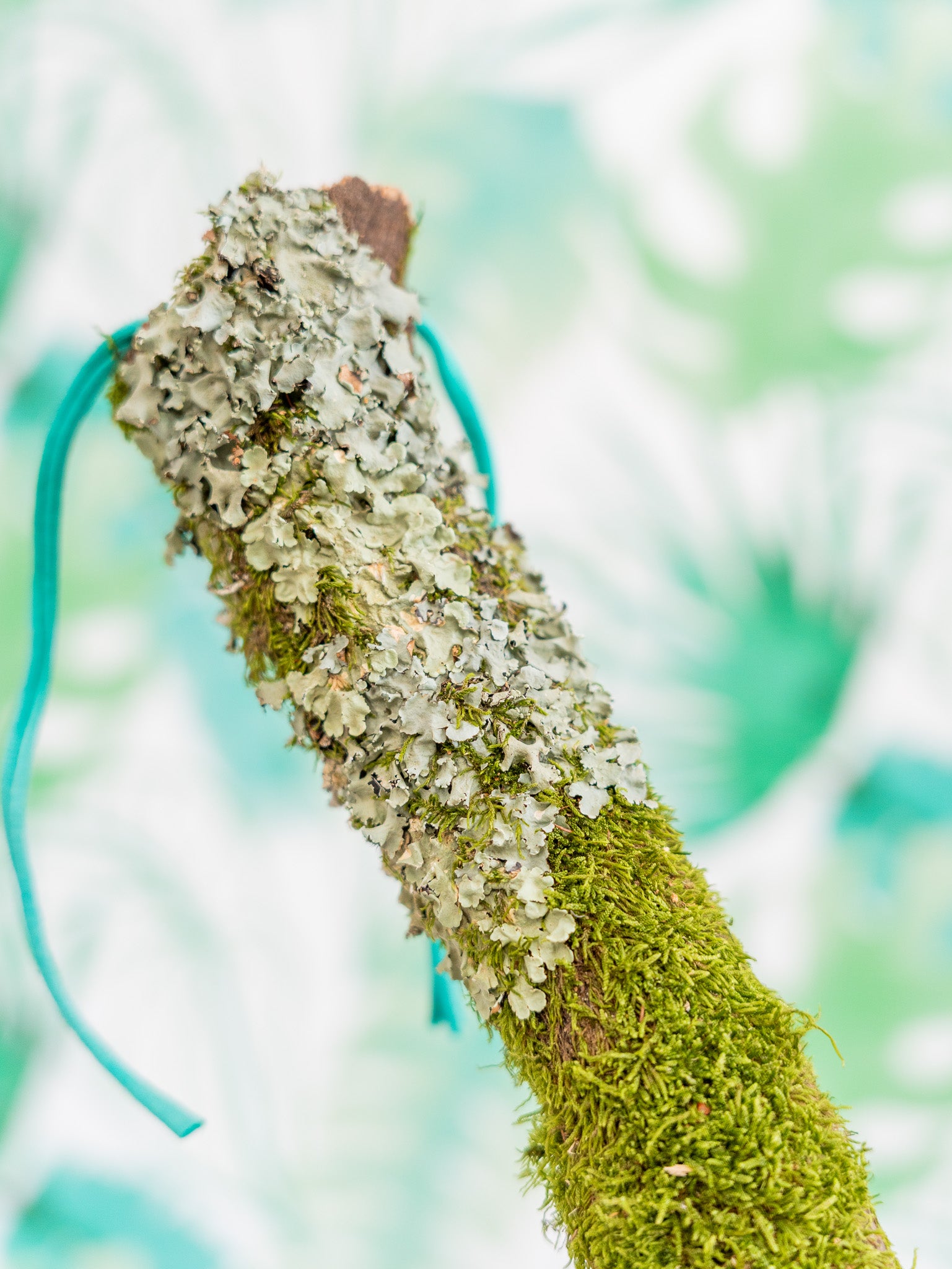 RAMA CON MUSGO 60 cm (pieza única)