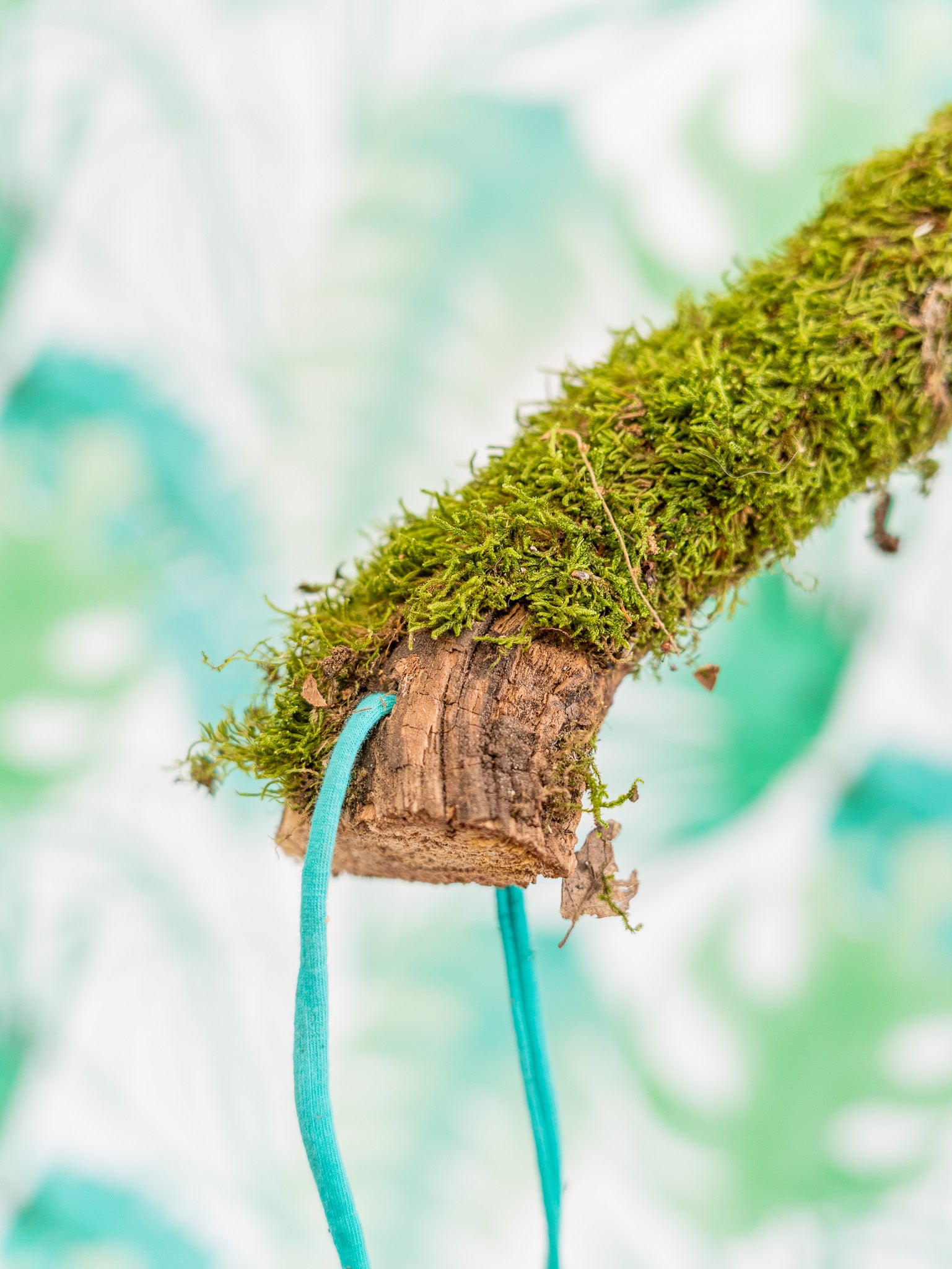 RAMA CON MUSGO 60 cm (pieza única)