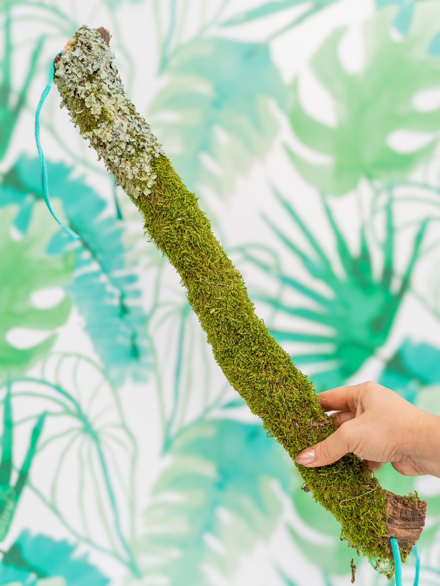 RAMA CON MUSGO 60 cm (pieza única)