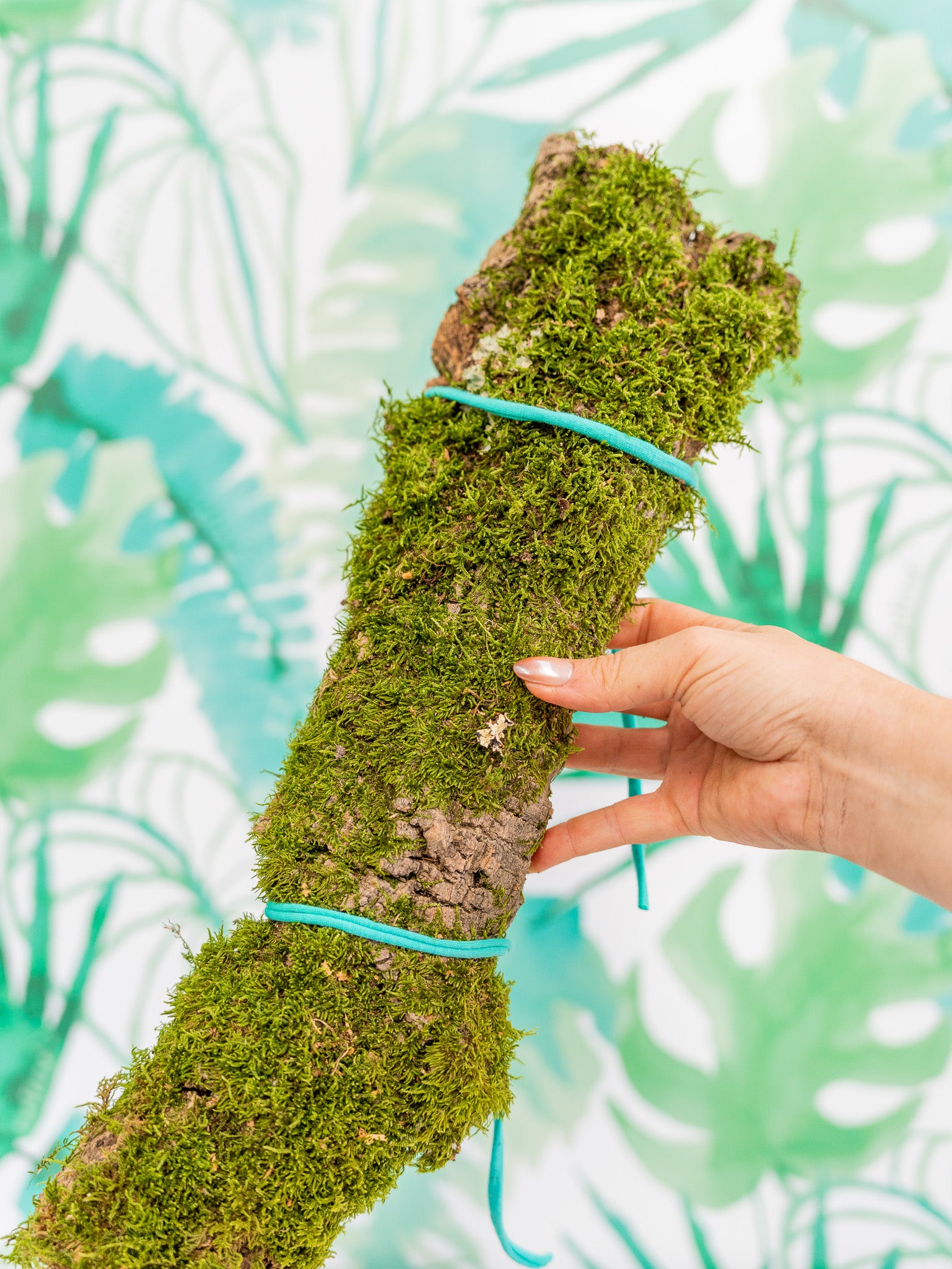 PLANCHA de corcho CON MUSGO (2 tamaños)