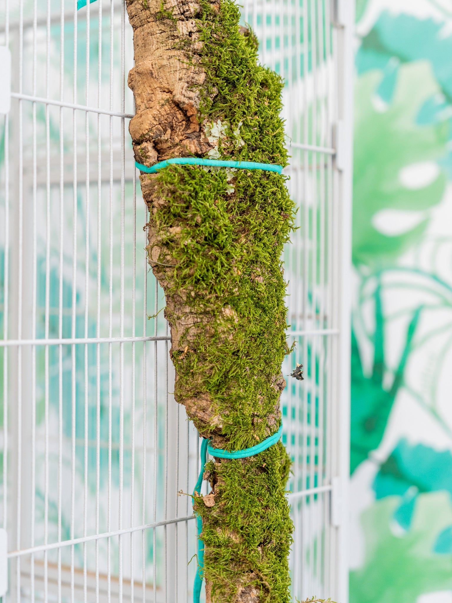 PLANCHA de corcho CON MUSGO (2 tamaños)