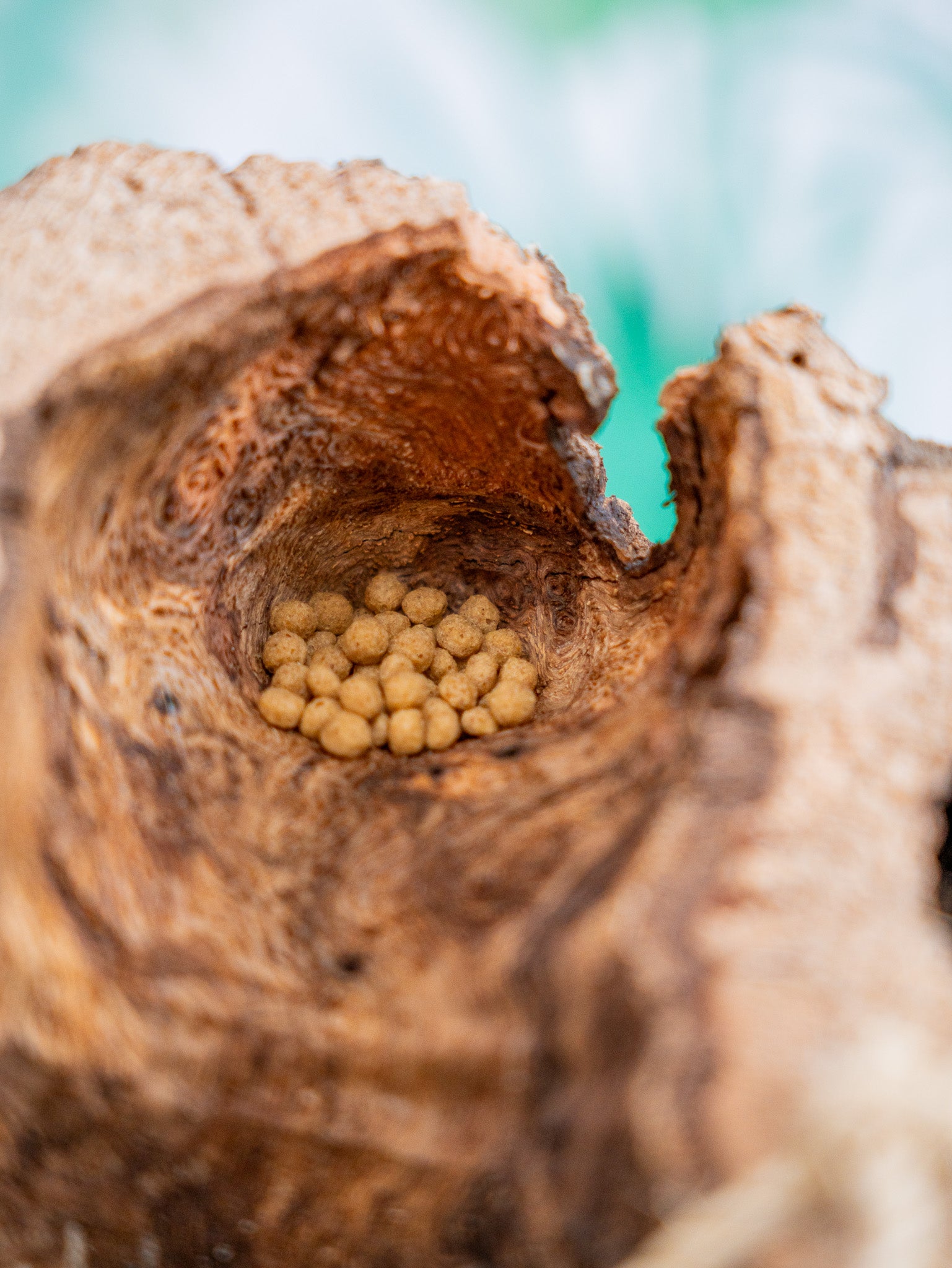 COMEDERO/POSADERO ARO CORCHO (PIEZA ÚNICA)