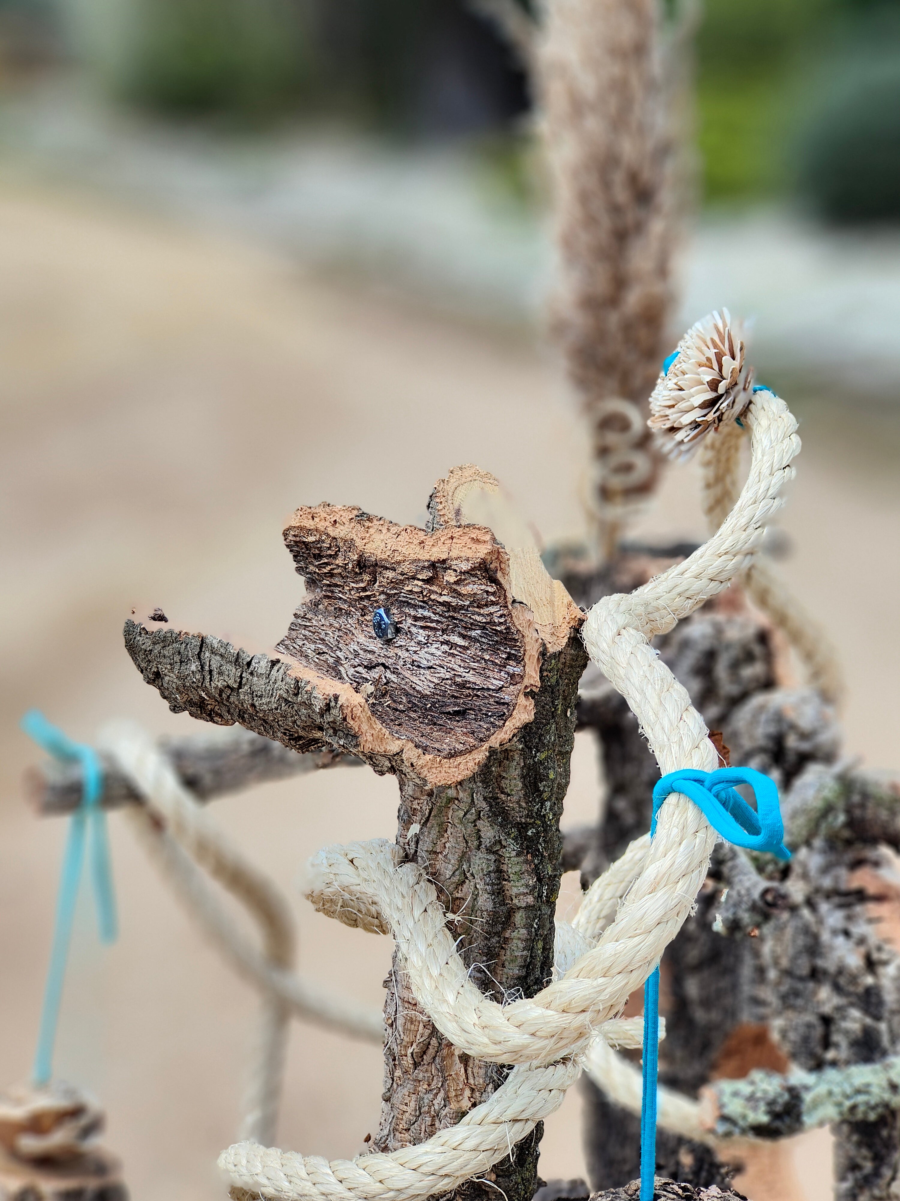 DISEÑO DE ESPACIOS | Parquecito