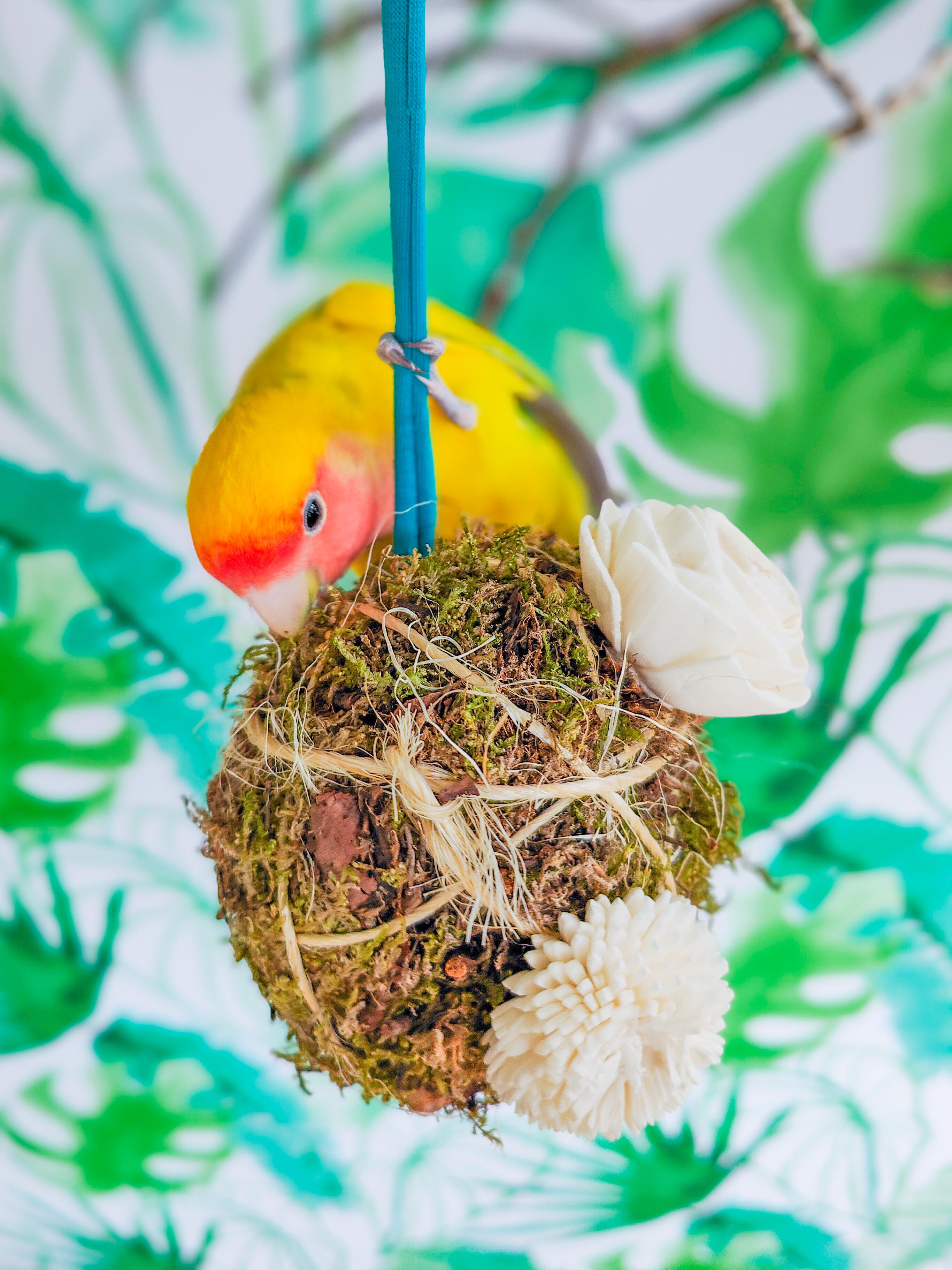 MUSGUÍN jardín bola