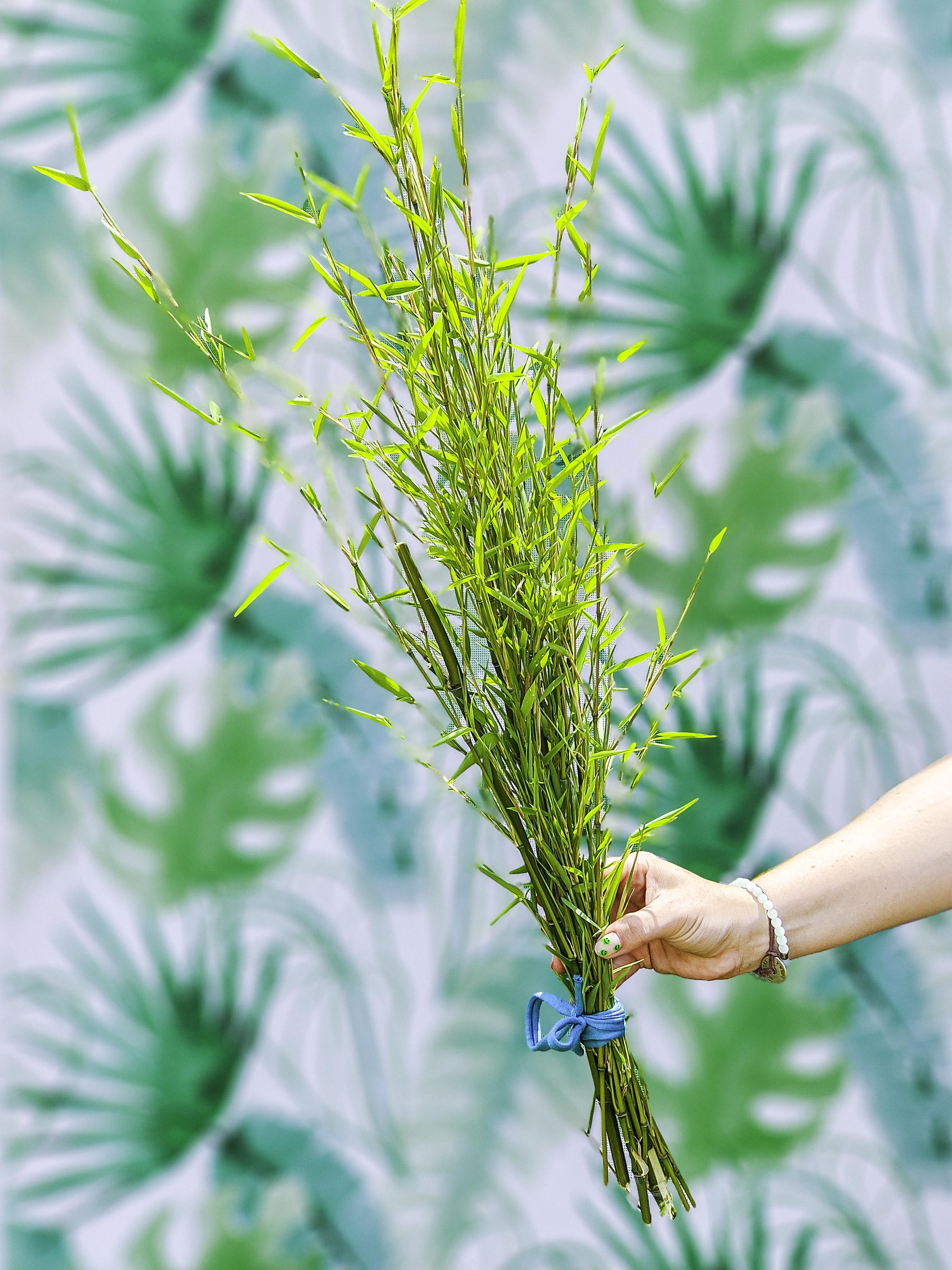 RAMILLETE HOJAS FRESCAS (bambú).