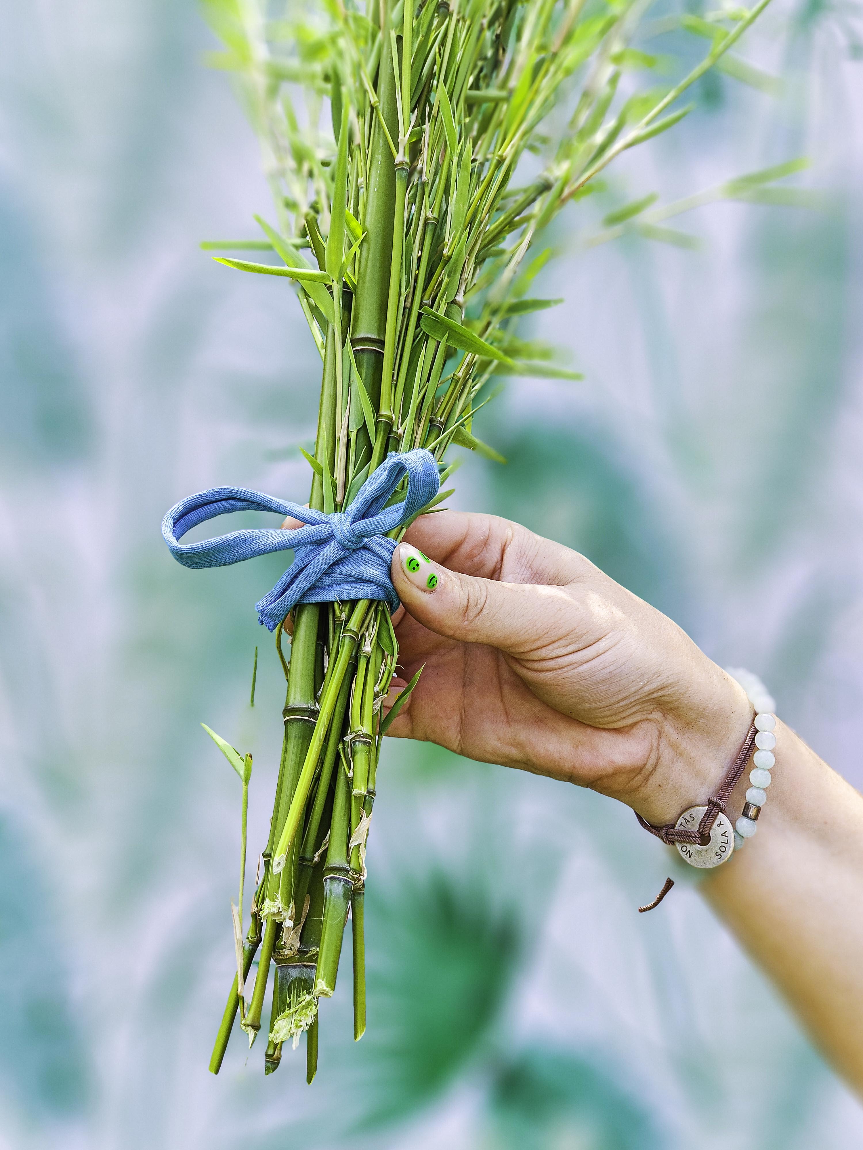 RAMILLETE HOJAS FRESCAS (bambú).