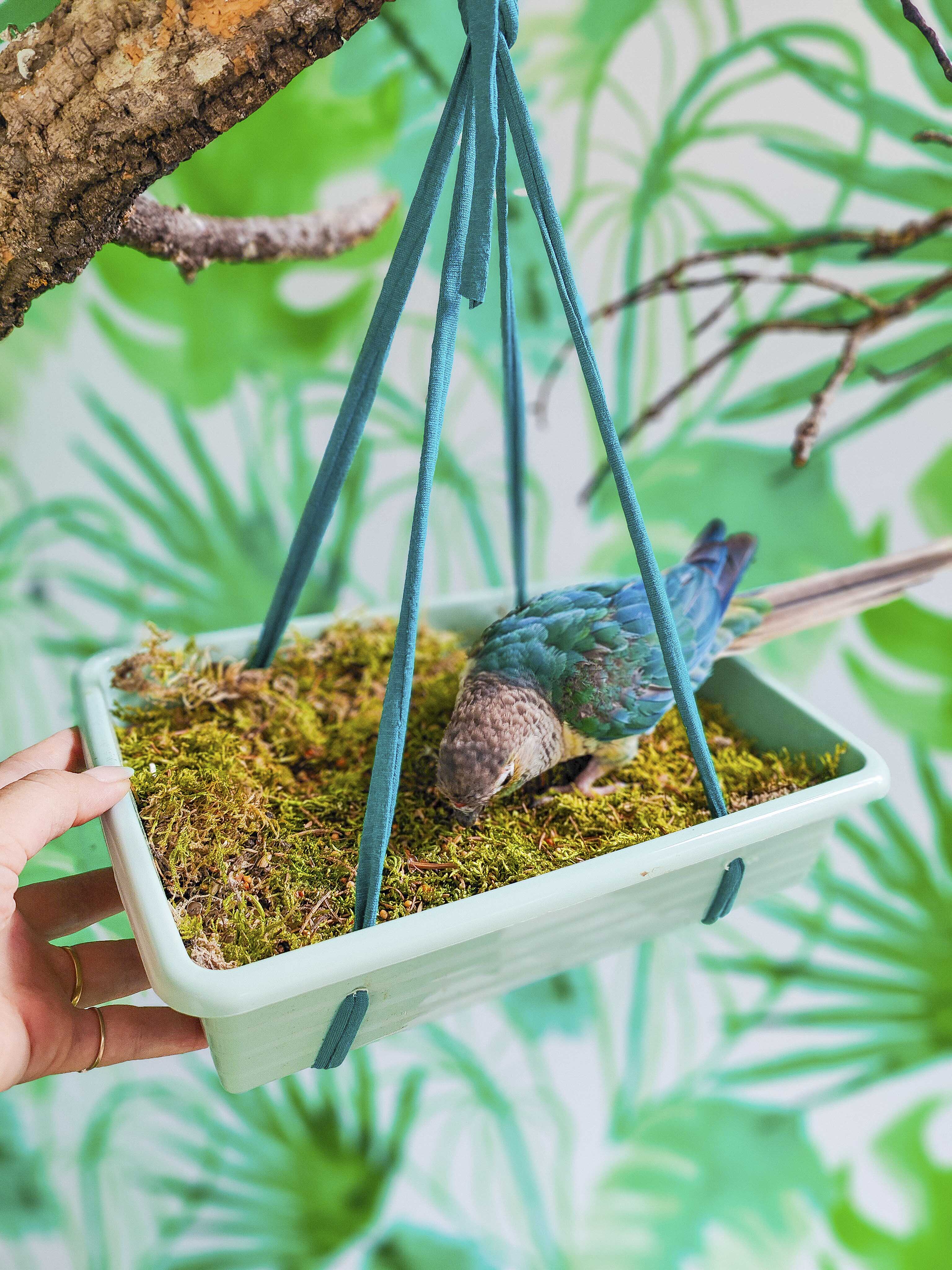 MUSGUÍN bandeja plástico